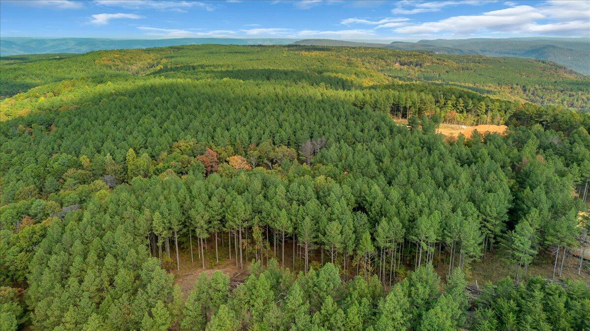 Lot # 1335 Whispering Way