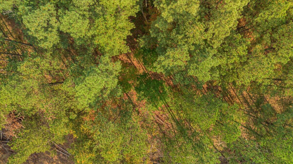 Lot # 1335 Whispering Way