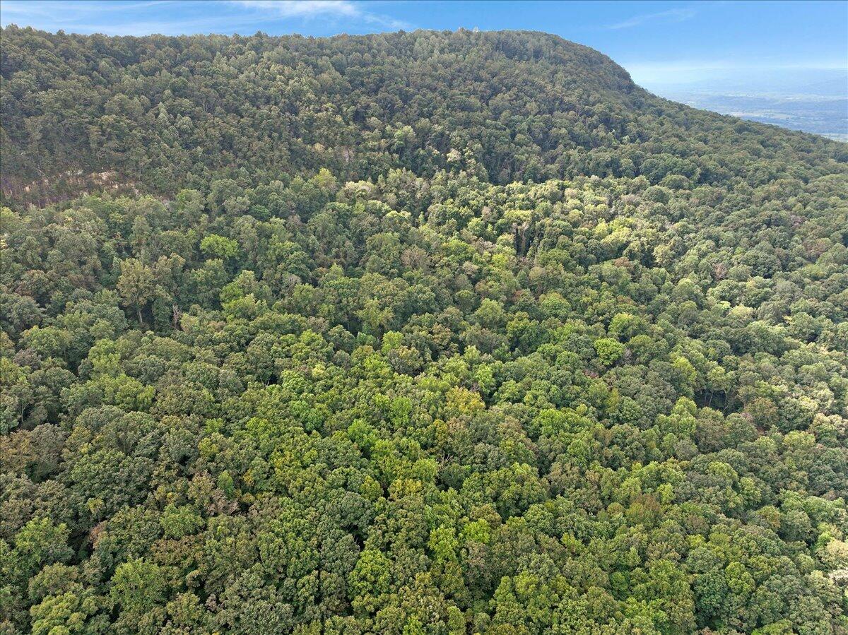 0 Highway 27, Lot 69, Chattanooga