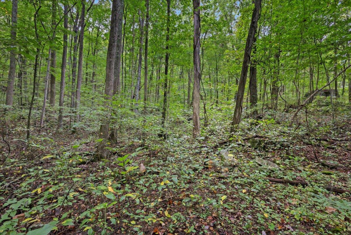 0 Highway 27, Lot 69, Chattanooga