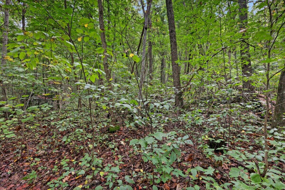 0 Highway 27, Lot 69, Chattanooga