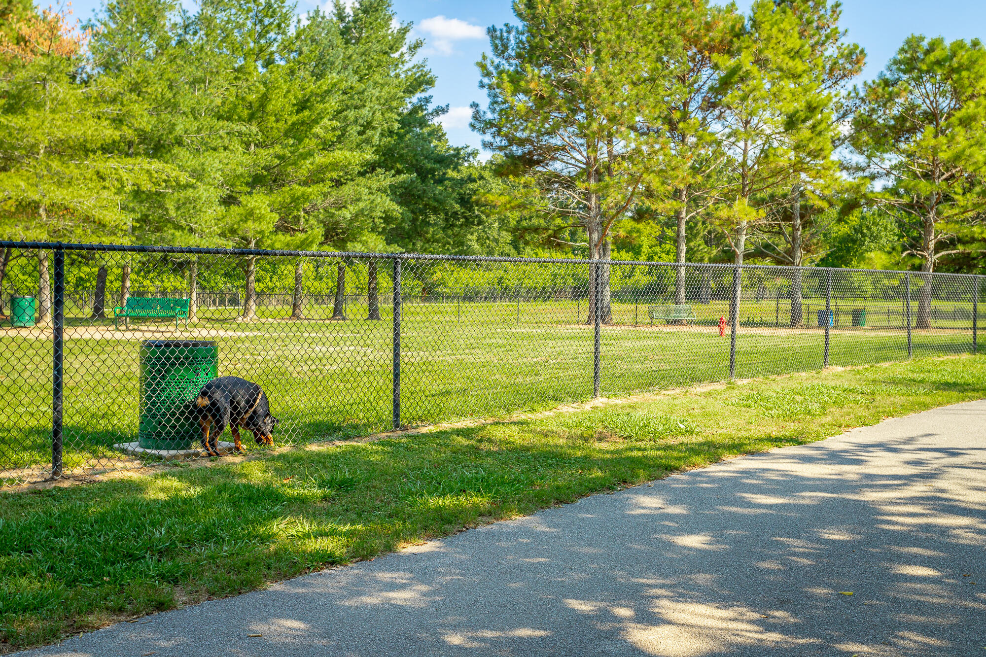 2316 Meadowbrook Trail, Chattanooga