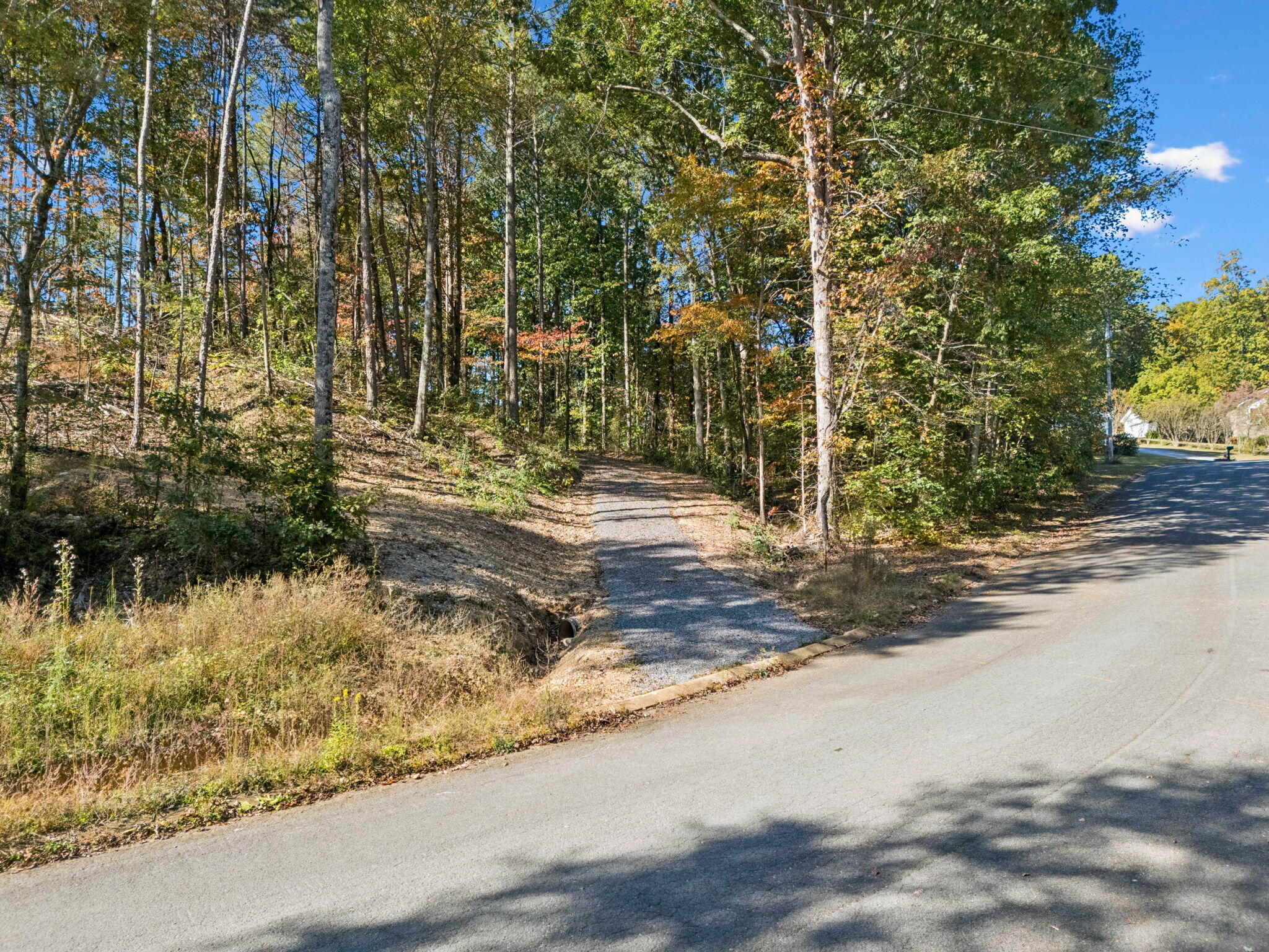 223 Hickory Ridge Trail