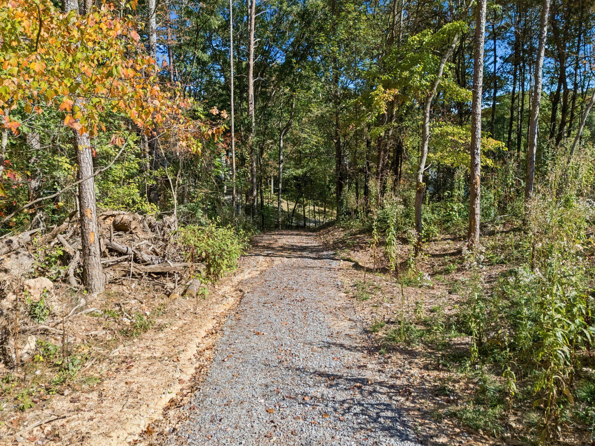 223 Hickory Ridge Trail