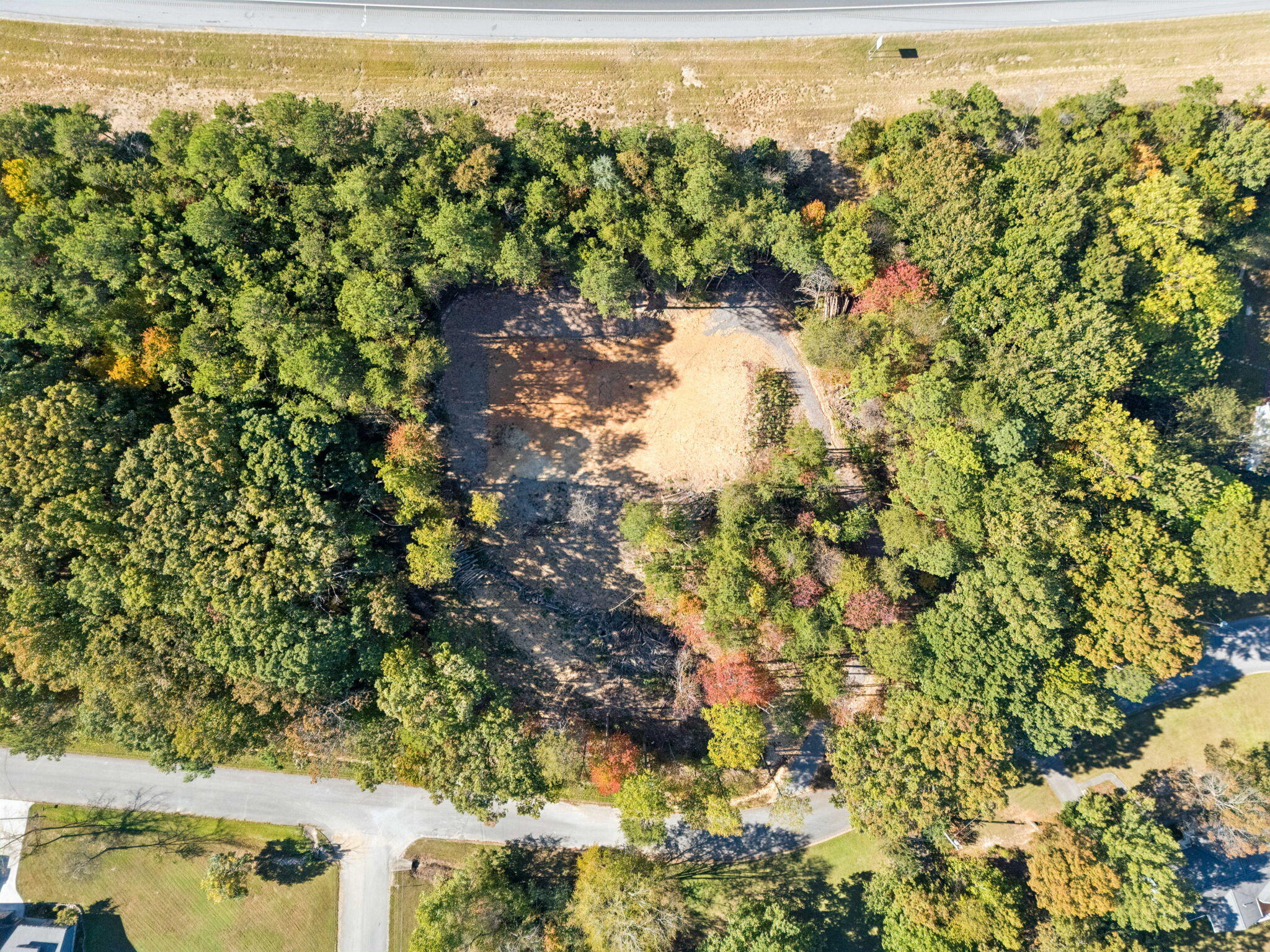 223 Hickory Ridge Trail