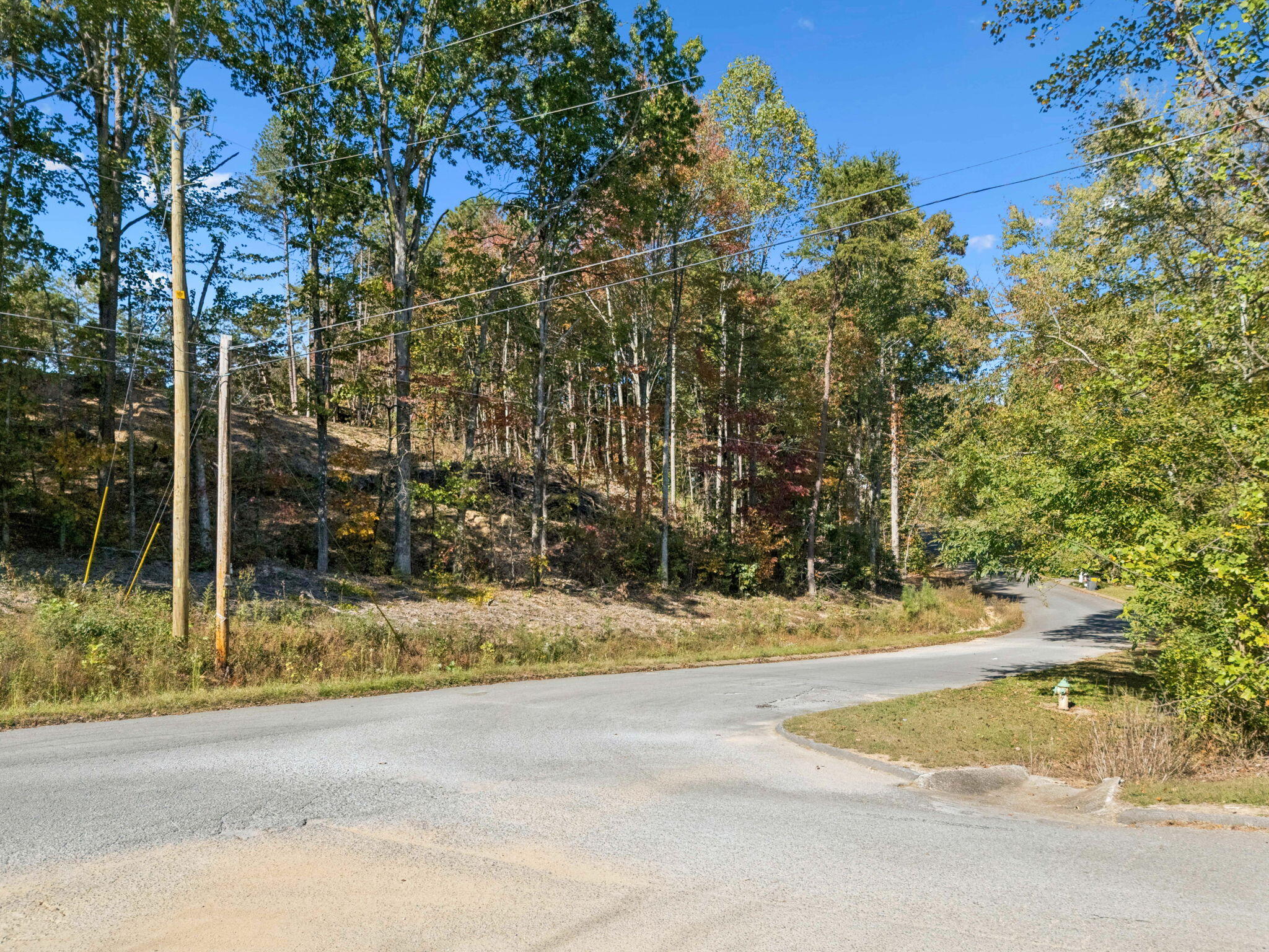 223 Hickory Ridge Trail