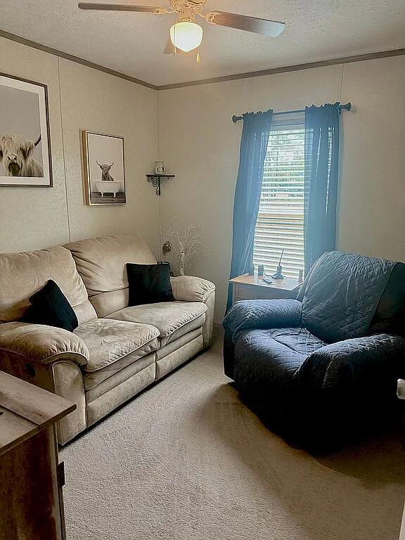 171 Buddy Singleton Road, Gruetli Laager