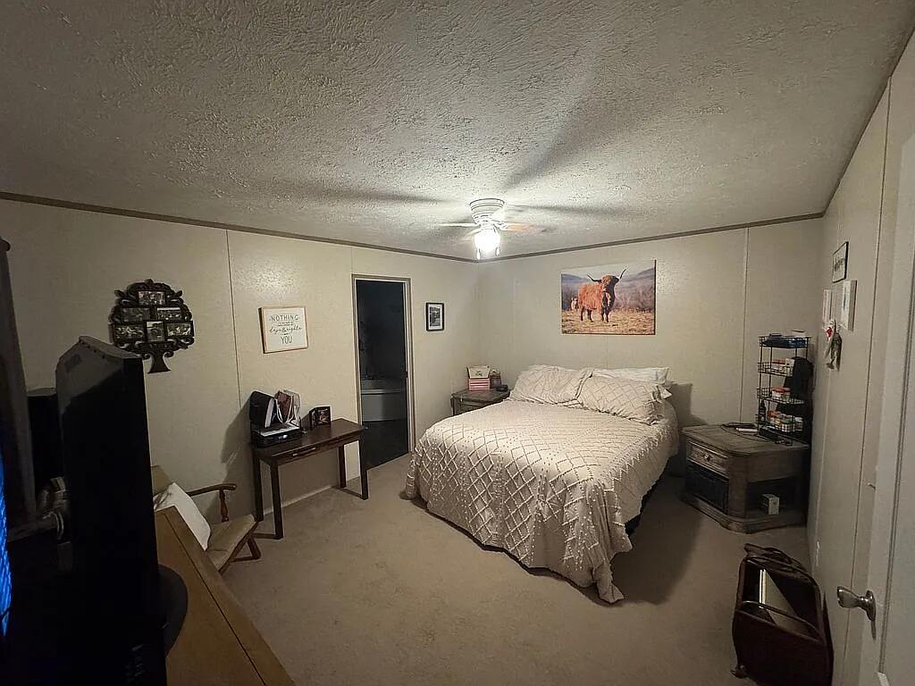 171 Buddy Singleton Road, Gruetli Laager