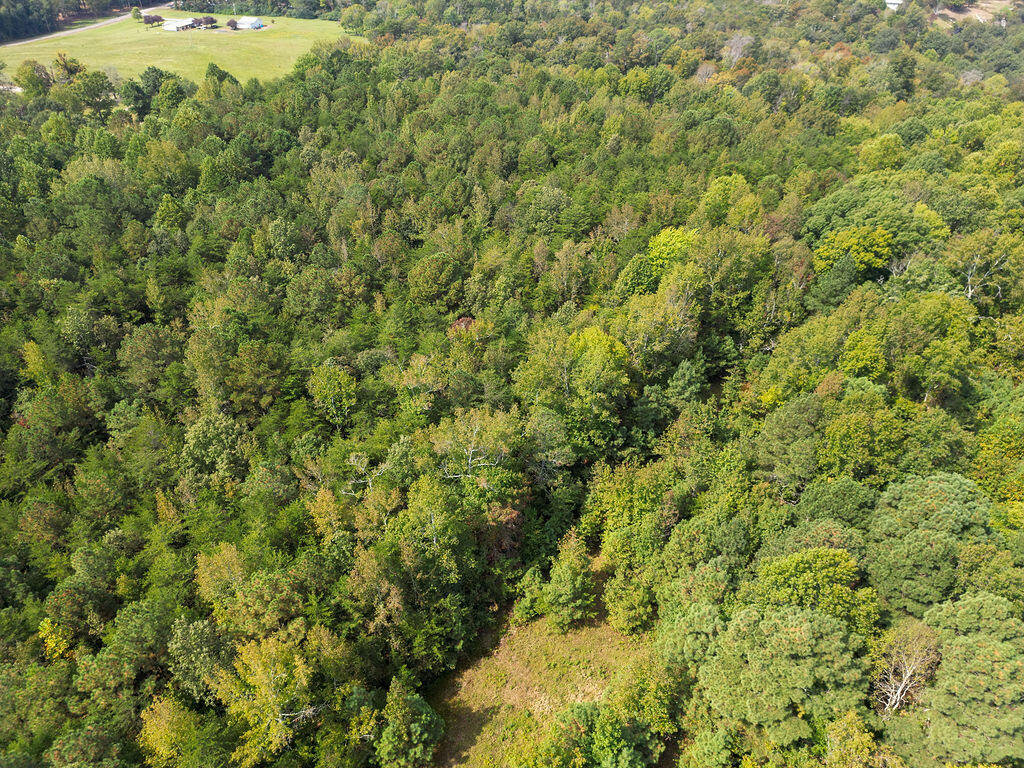 340 Lazy J Lane Lane, Pisgah