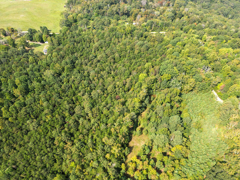 340 Lazy J Lane Lane, Pisgah