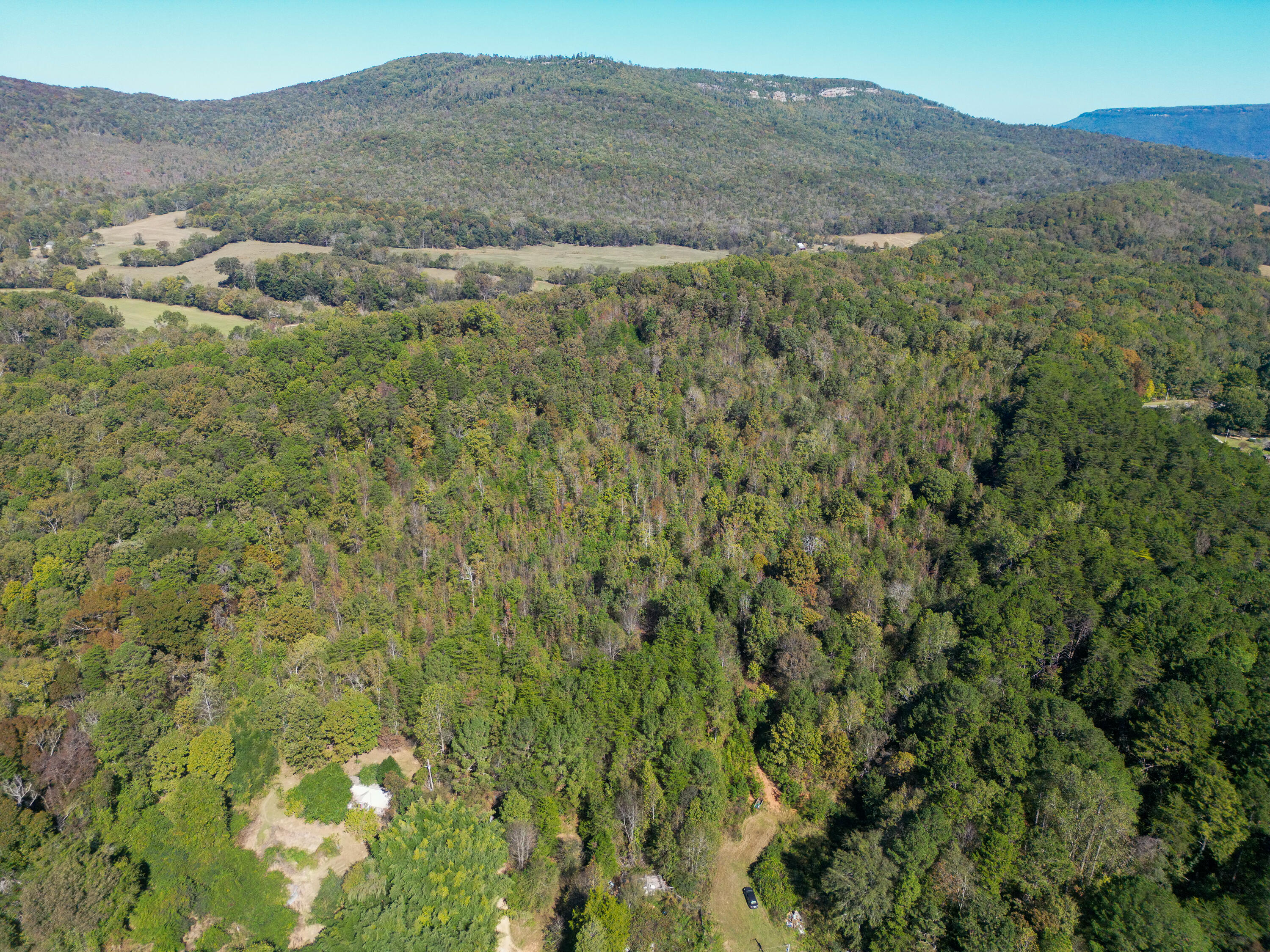 623 County Road 798, Valley Head