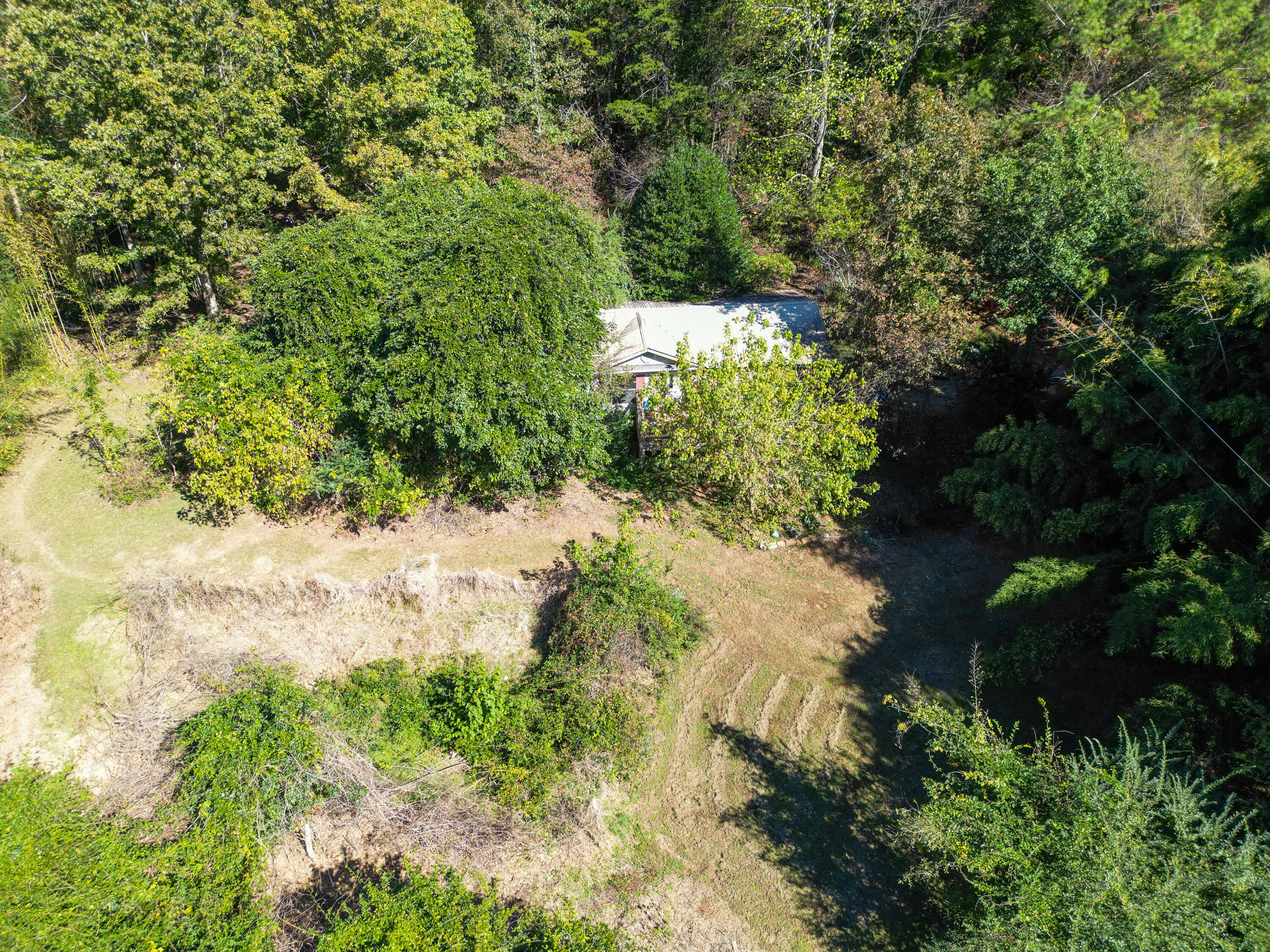 623 County Road 798, Valley Head