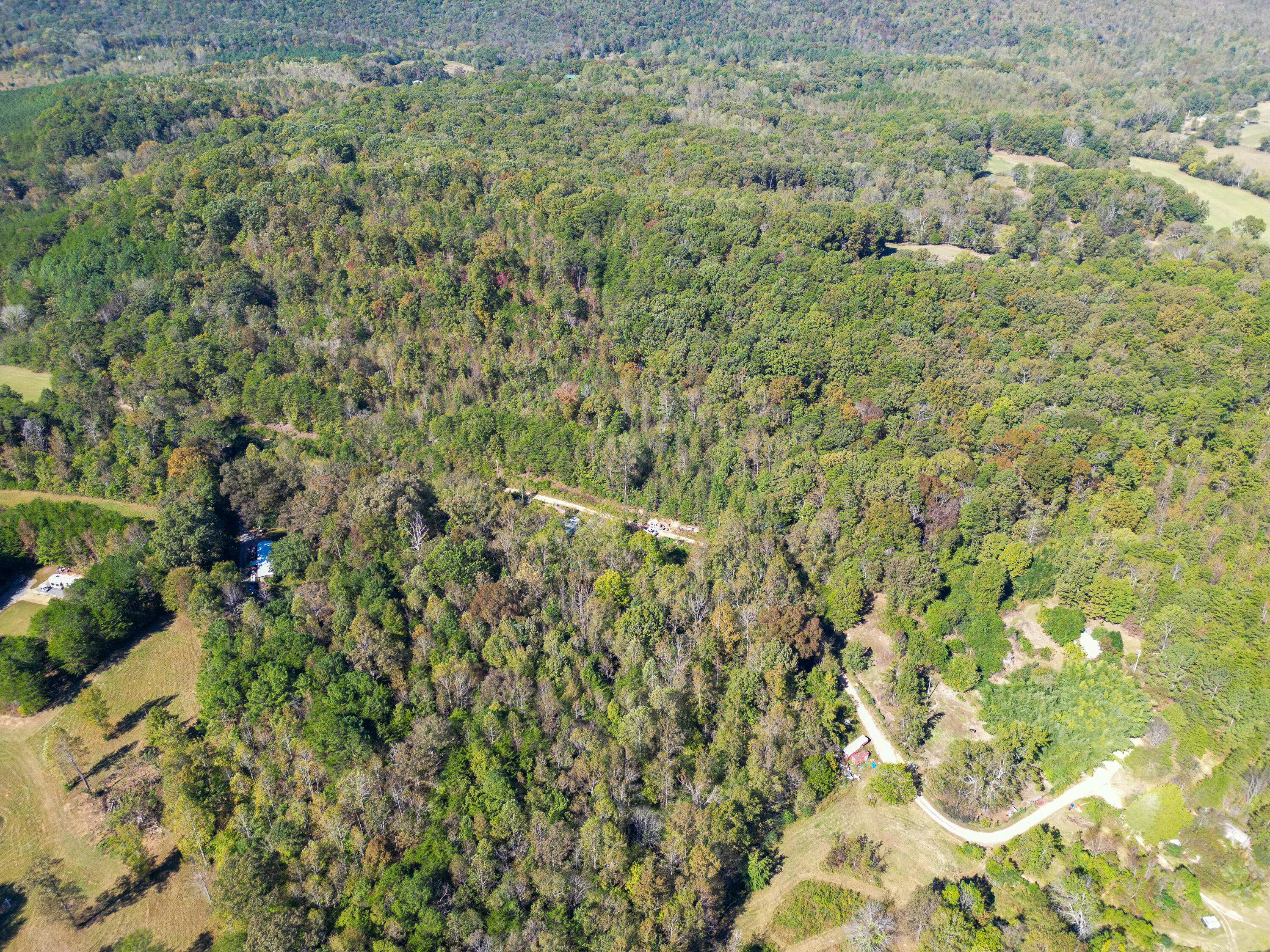 623 County Road 798, Valley Head