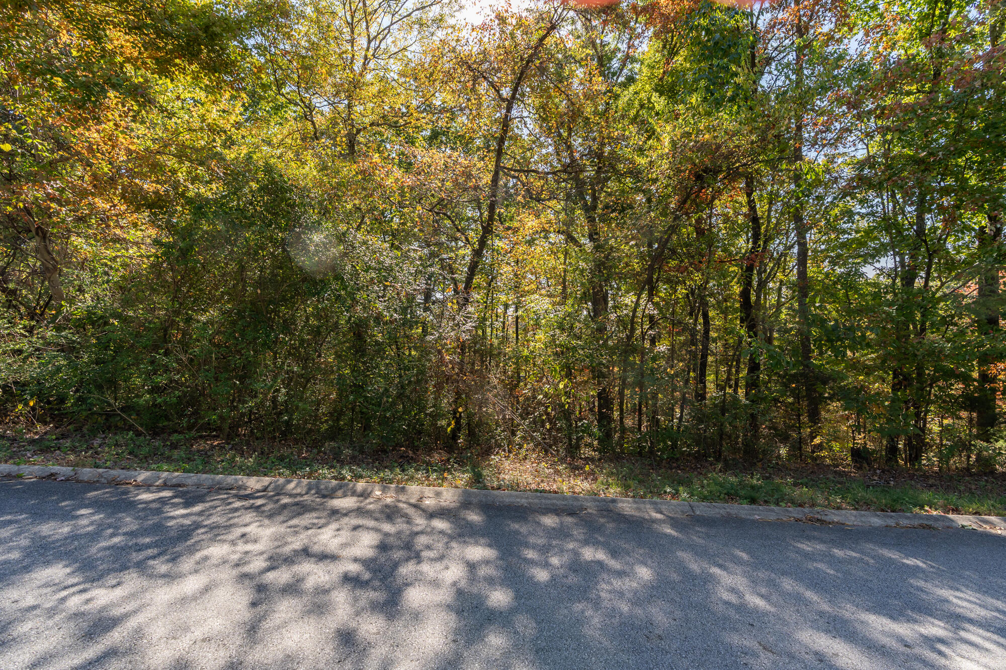 7756 Rocky Ledge Road, Hixson