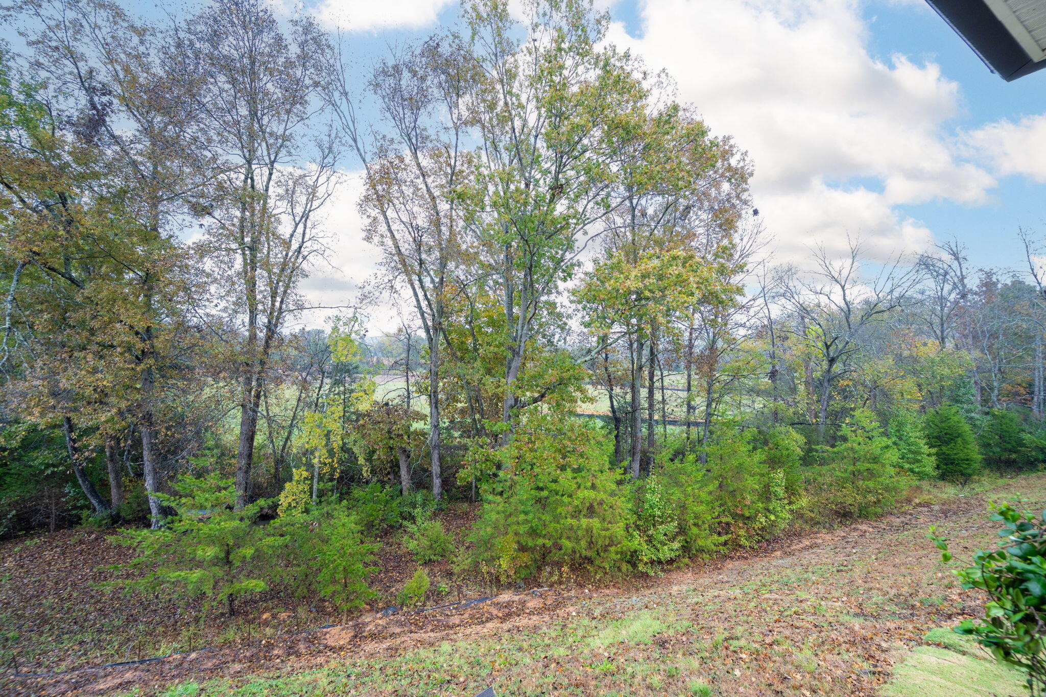10388 Magnolia Farm Drive
