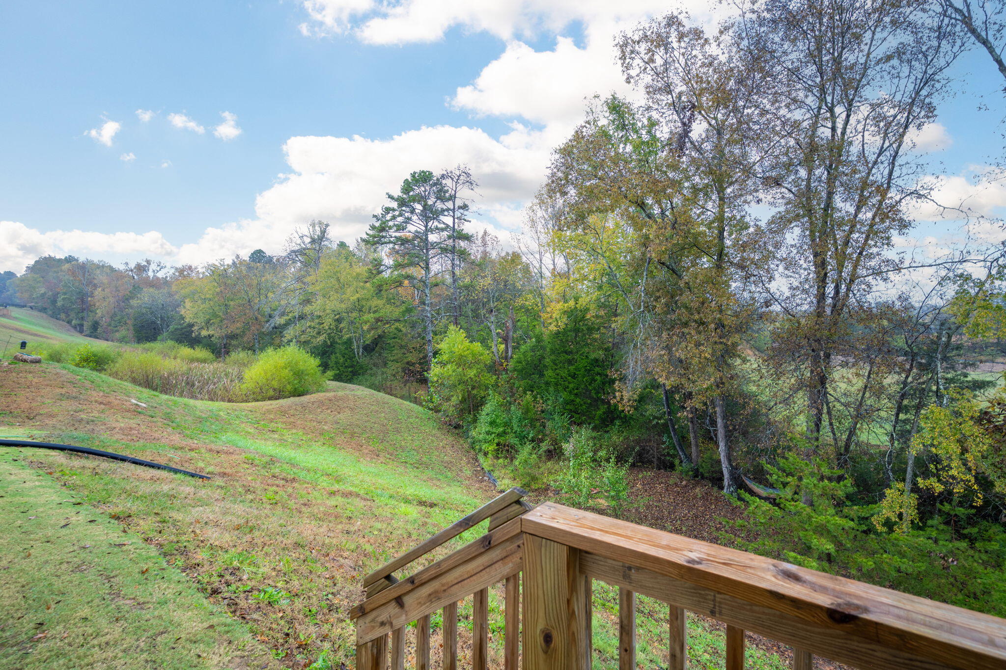 10388 Magnolia Farm Drive