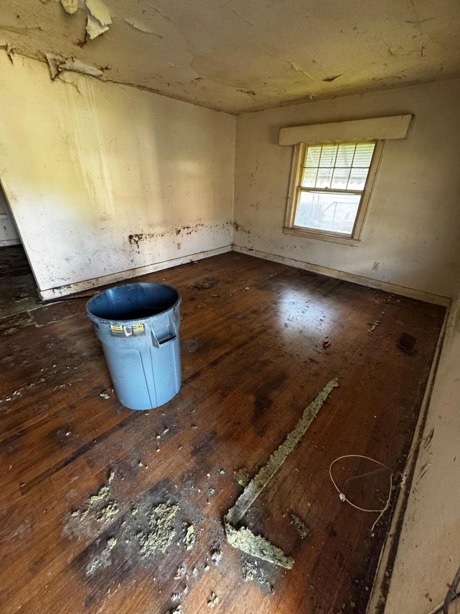 2202 Chamberlain Avenue