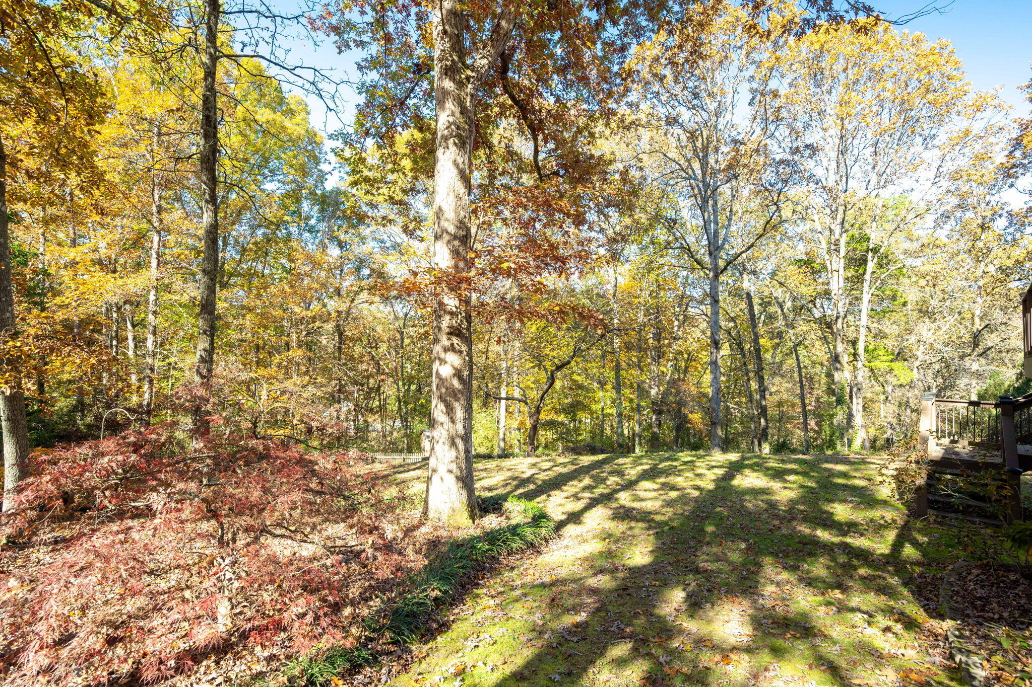 9210 Evening Shadow Drive