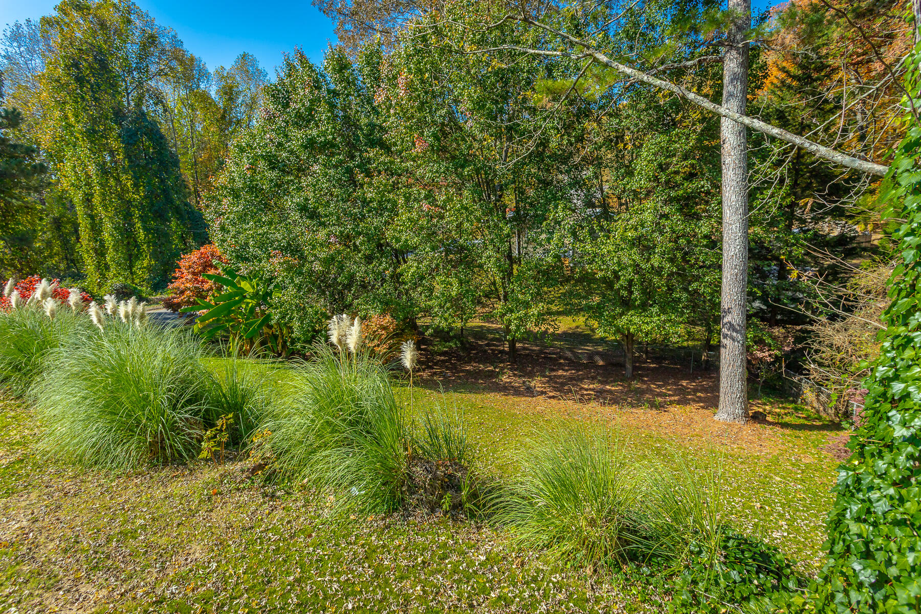 1303 Campbell Crescent, LaFayette