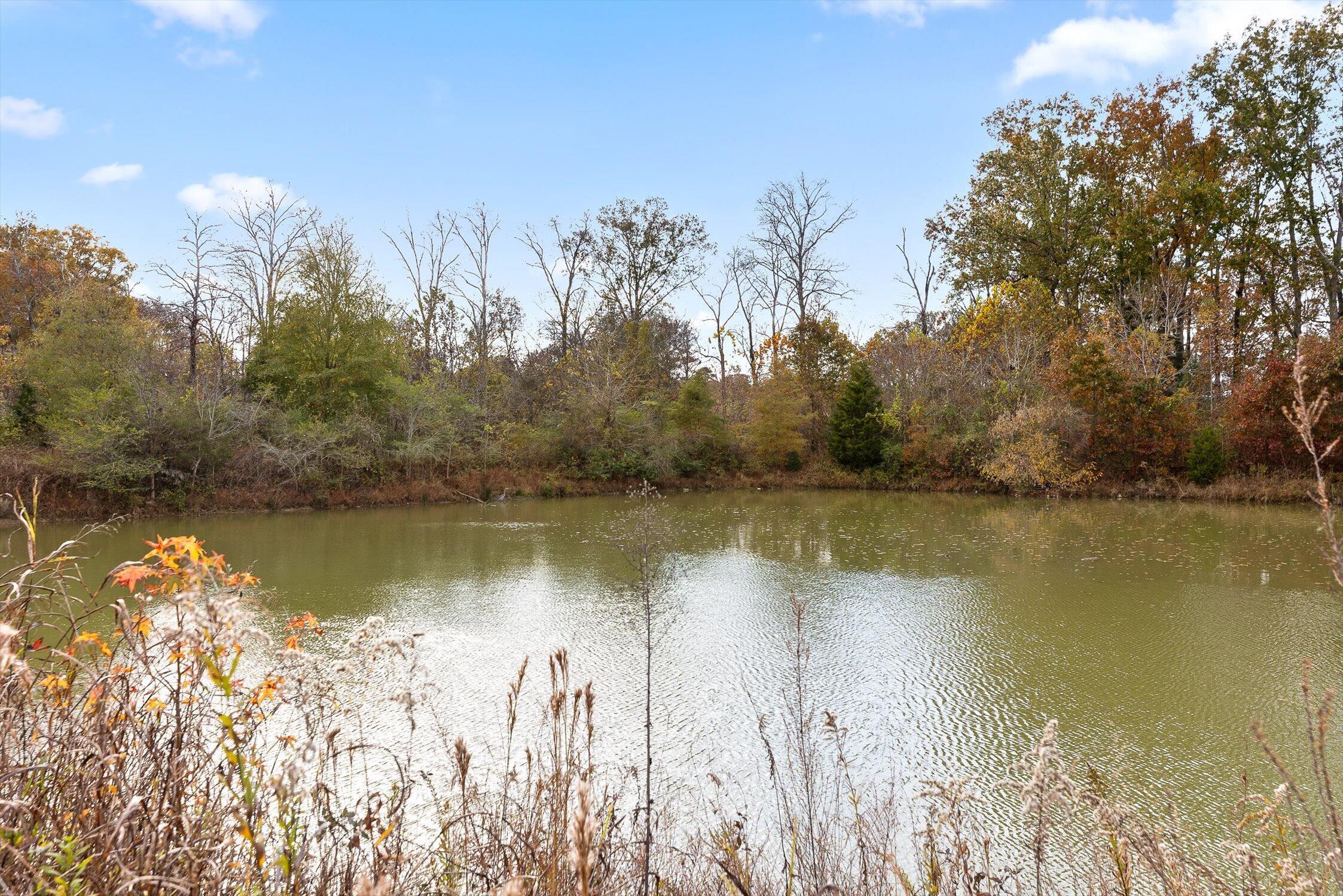 7796 Trout Lily Drive