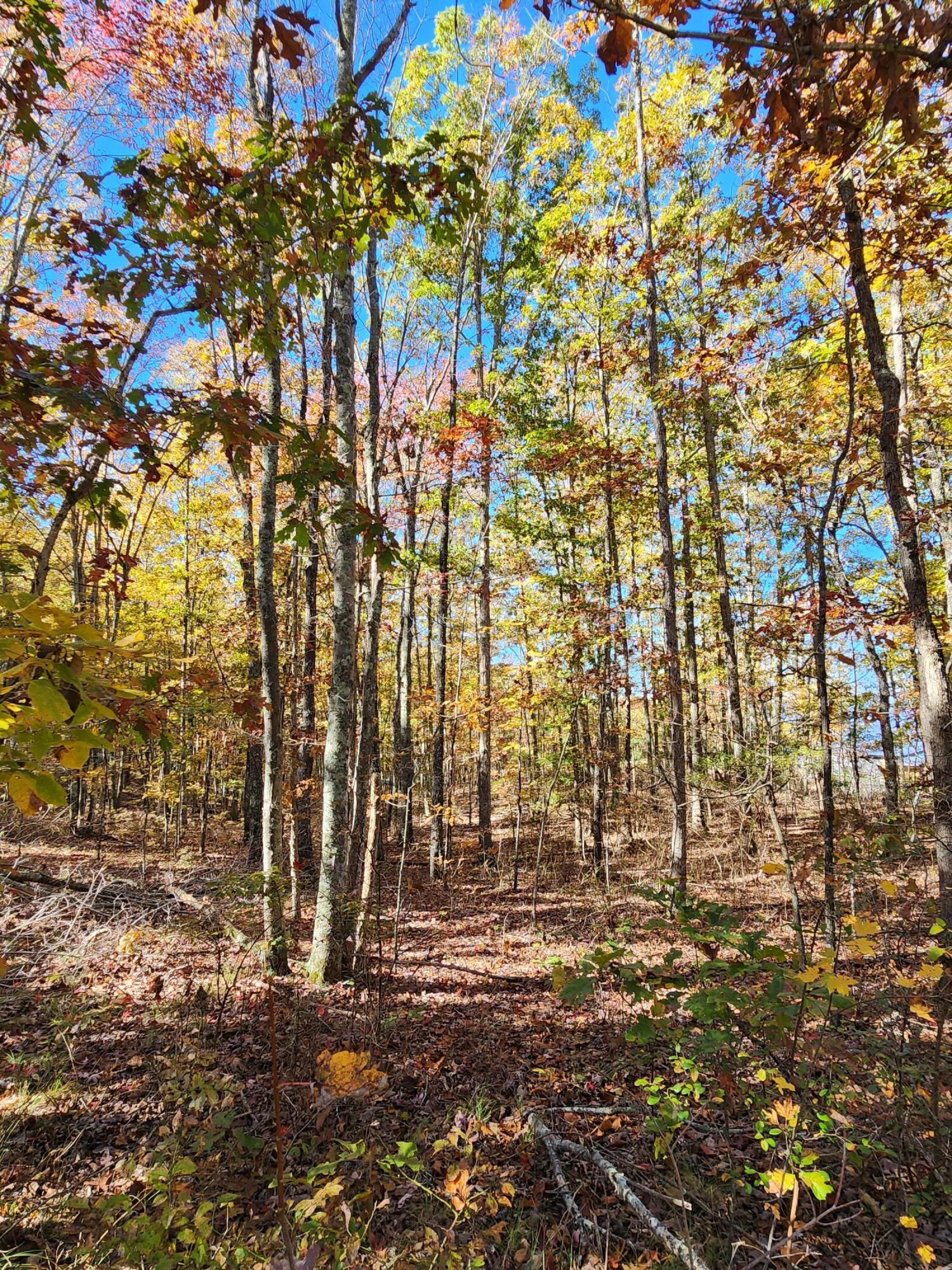 200 Salolee Circle, 256