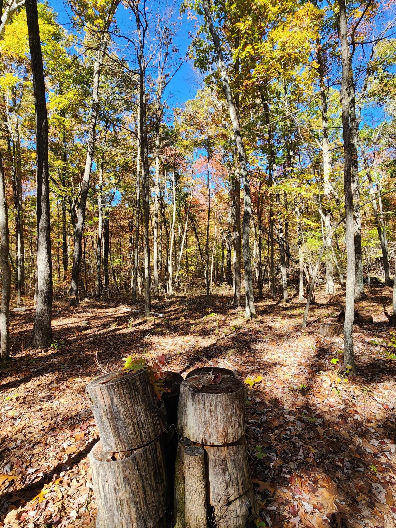 200 Salolee Circle, 256