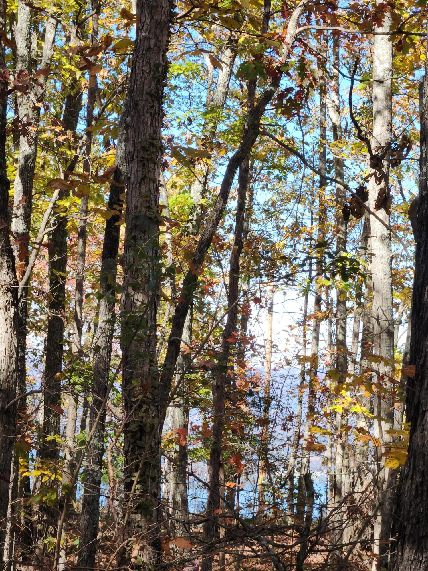 200 Salolee Circle, 256