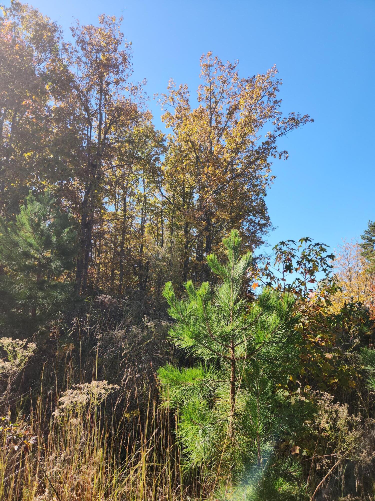 200 Salolee Circle, 256