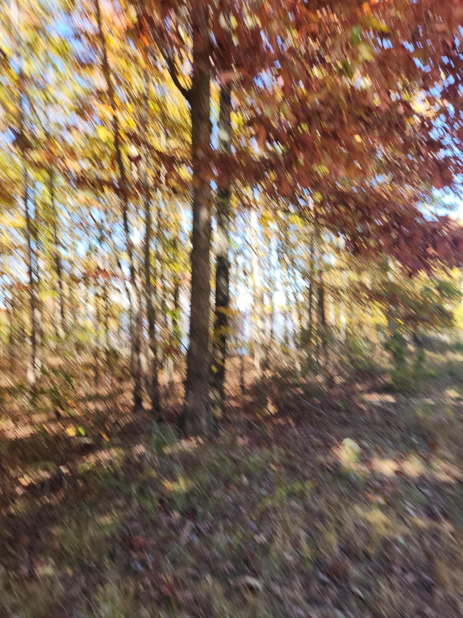 200 Salolee Circle, 256