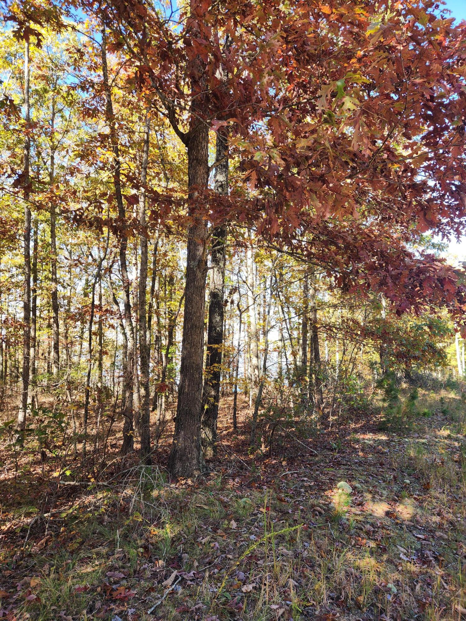 200 Salolee Circle, 256