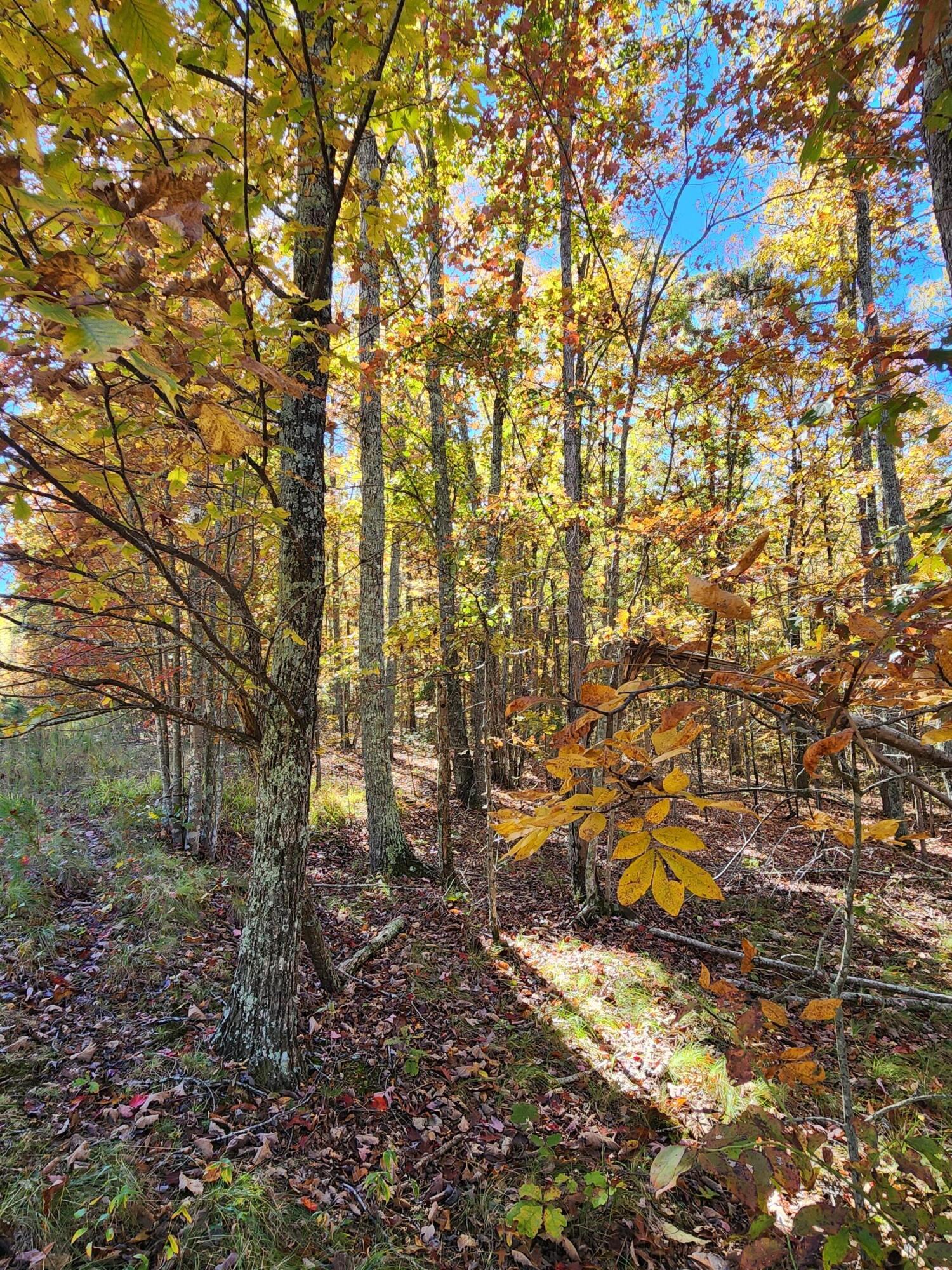 200 Salolee Circle, 256