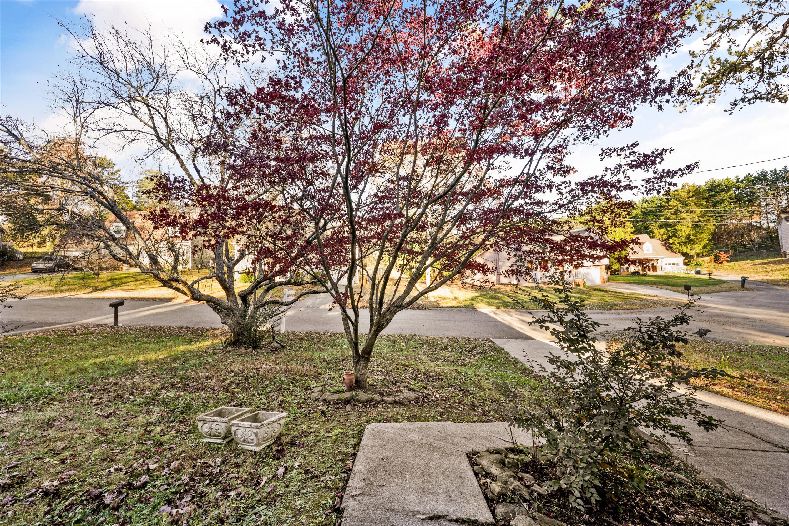 7516 Kerri Way