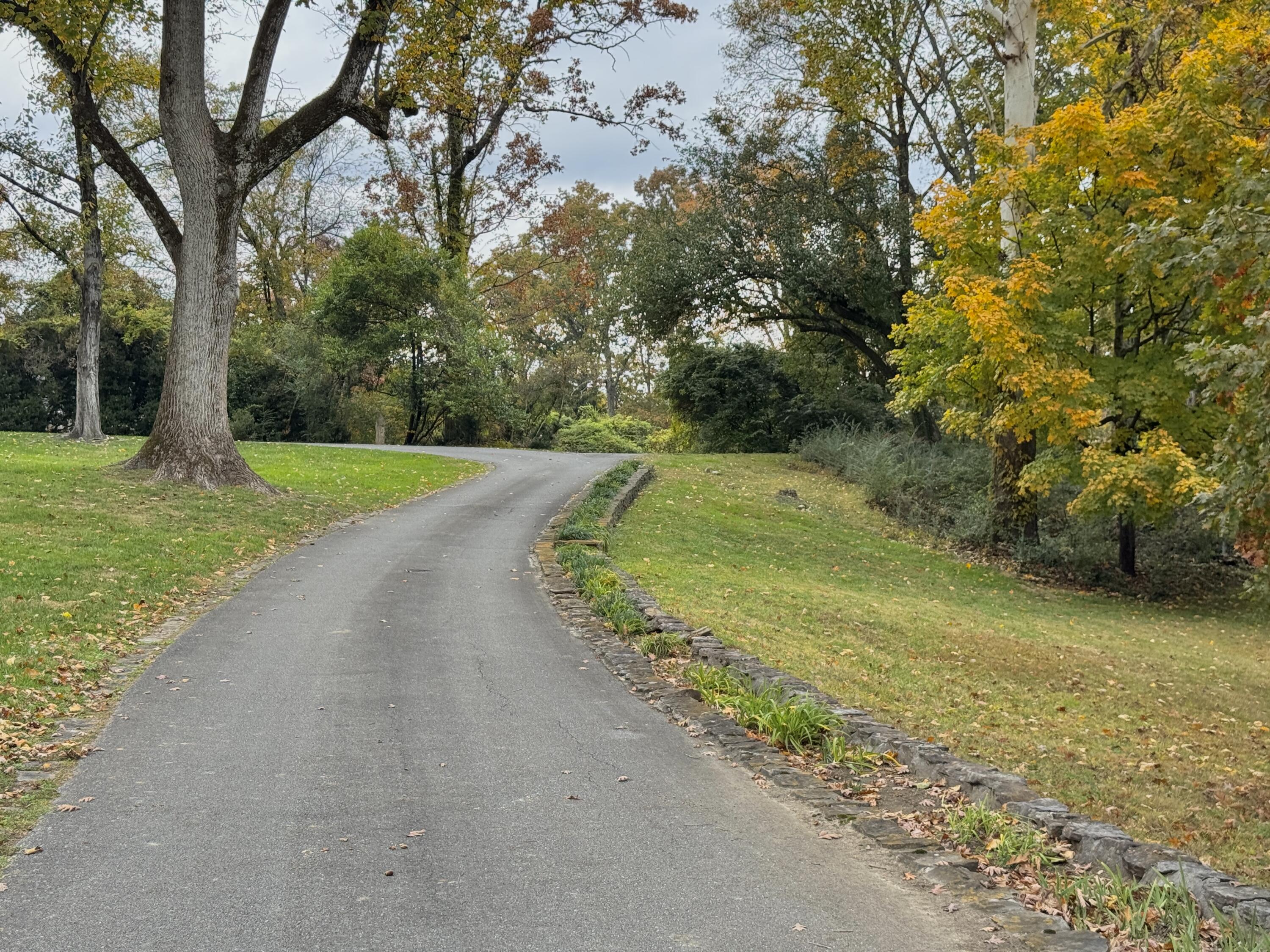 1117 Winding Oaks Way