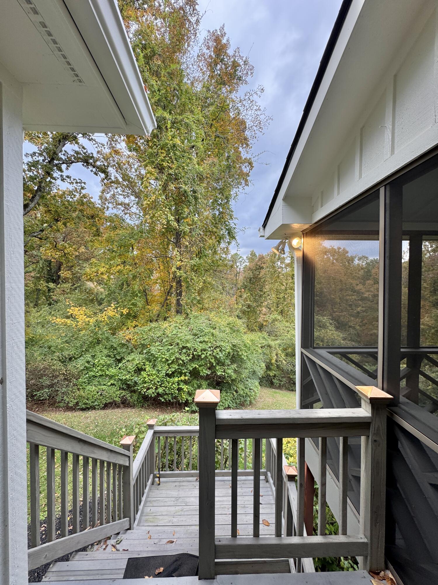 1117 Winding Oaks Way