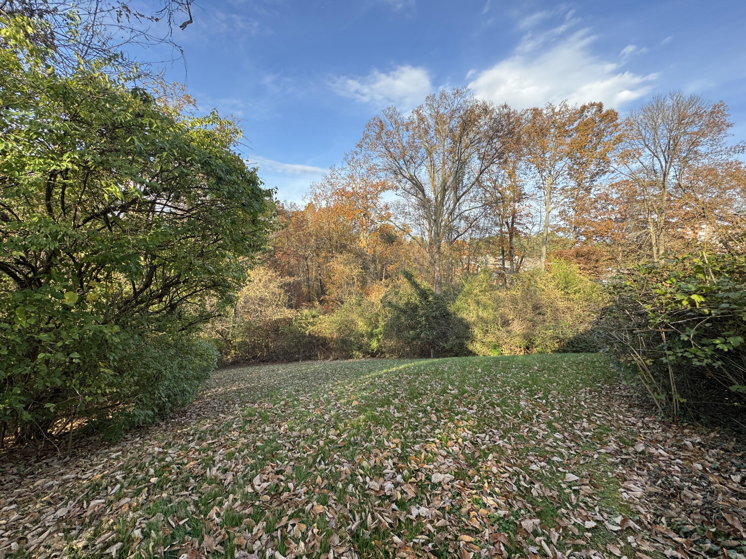 1117 Winding Oaks Way