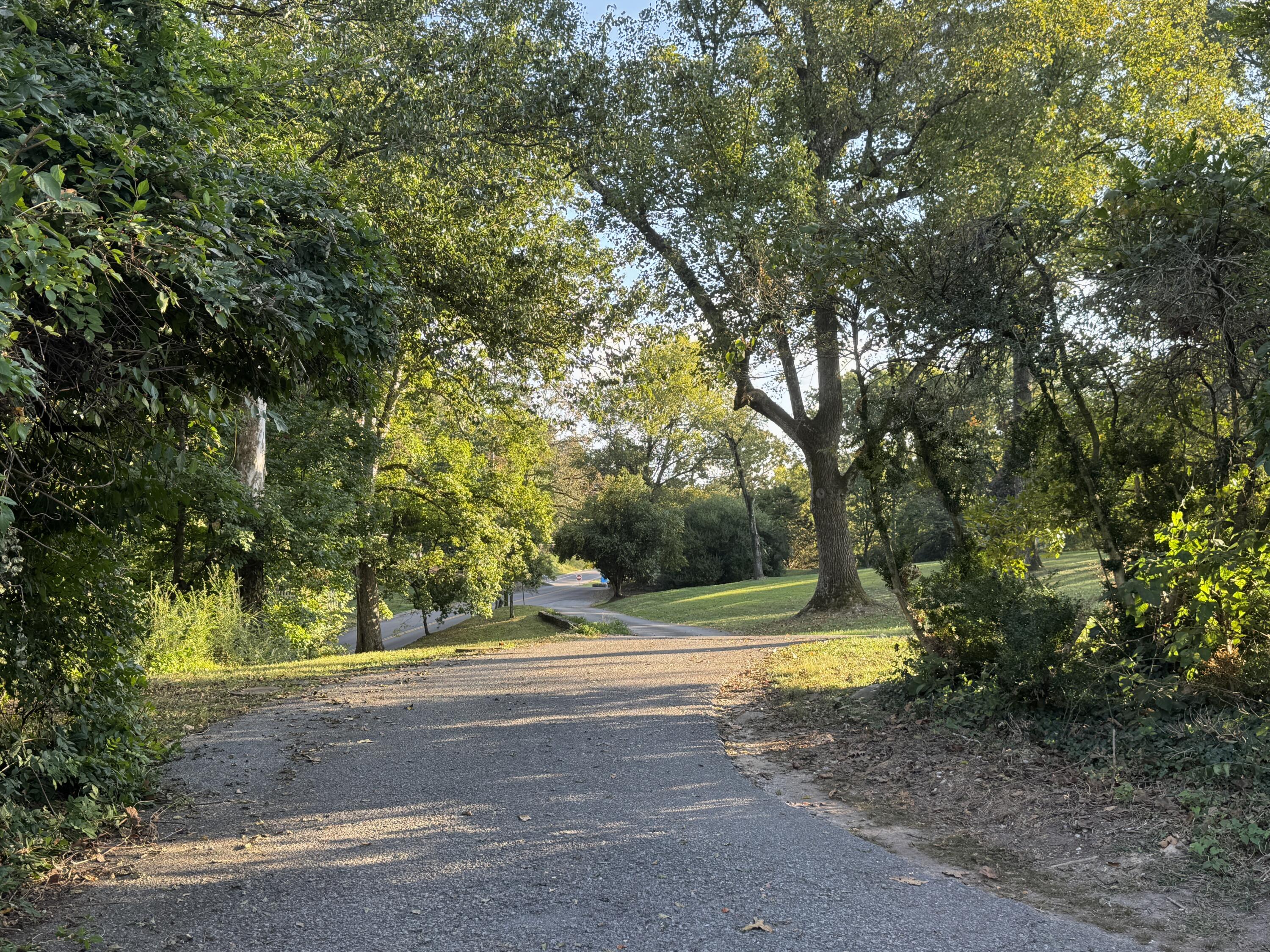 1117 Winding Oaks Way