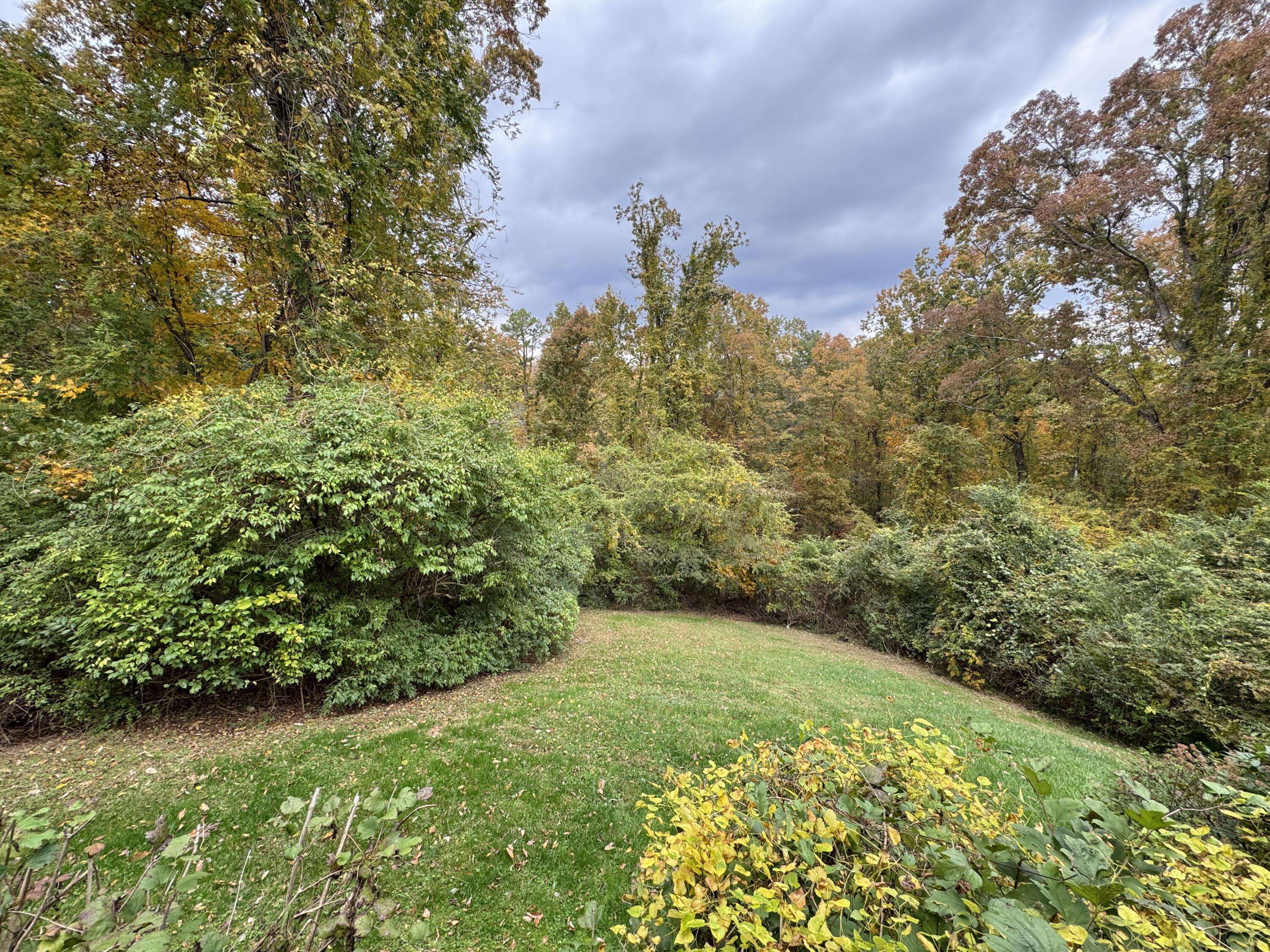 1117 Winding Oaks Way