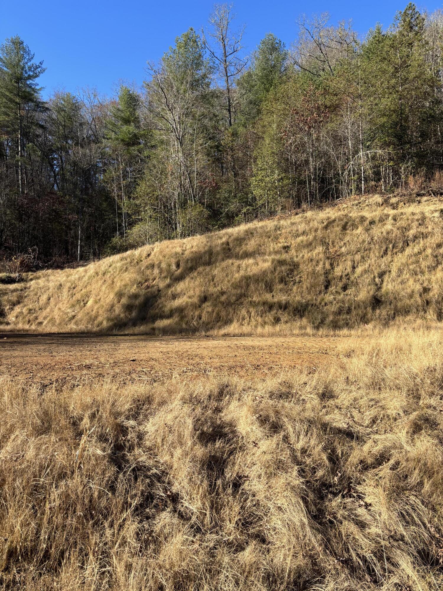 476 Appalachia Dam Road