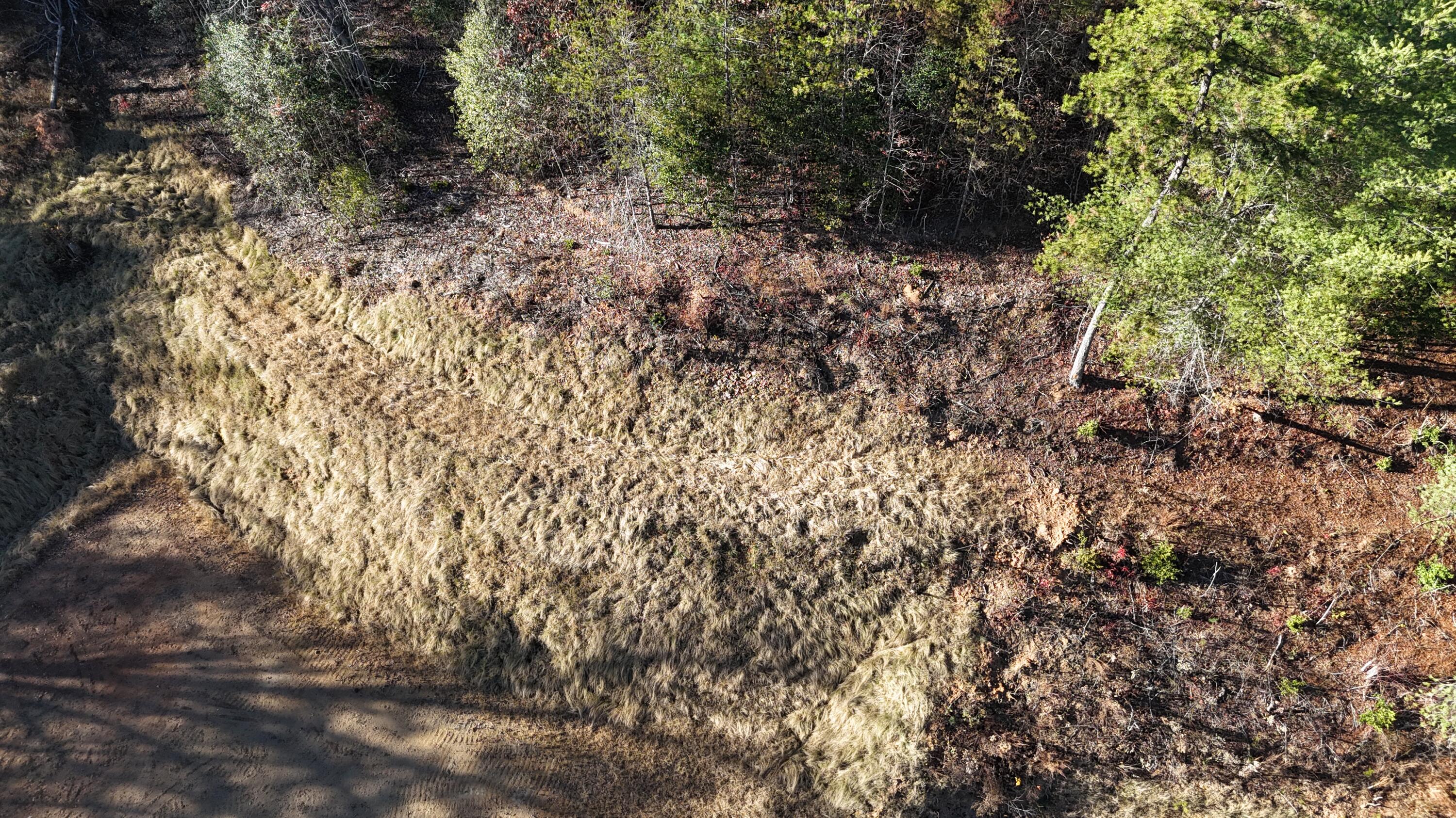 476 Appalachia Dam Road