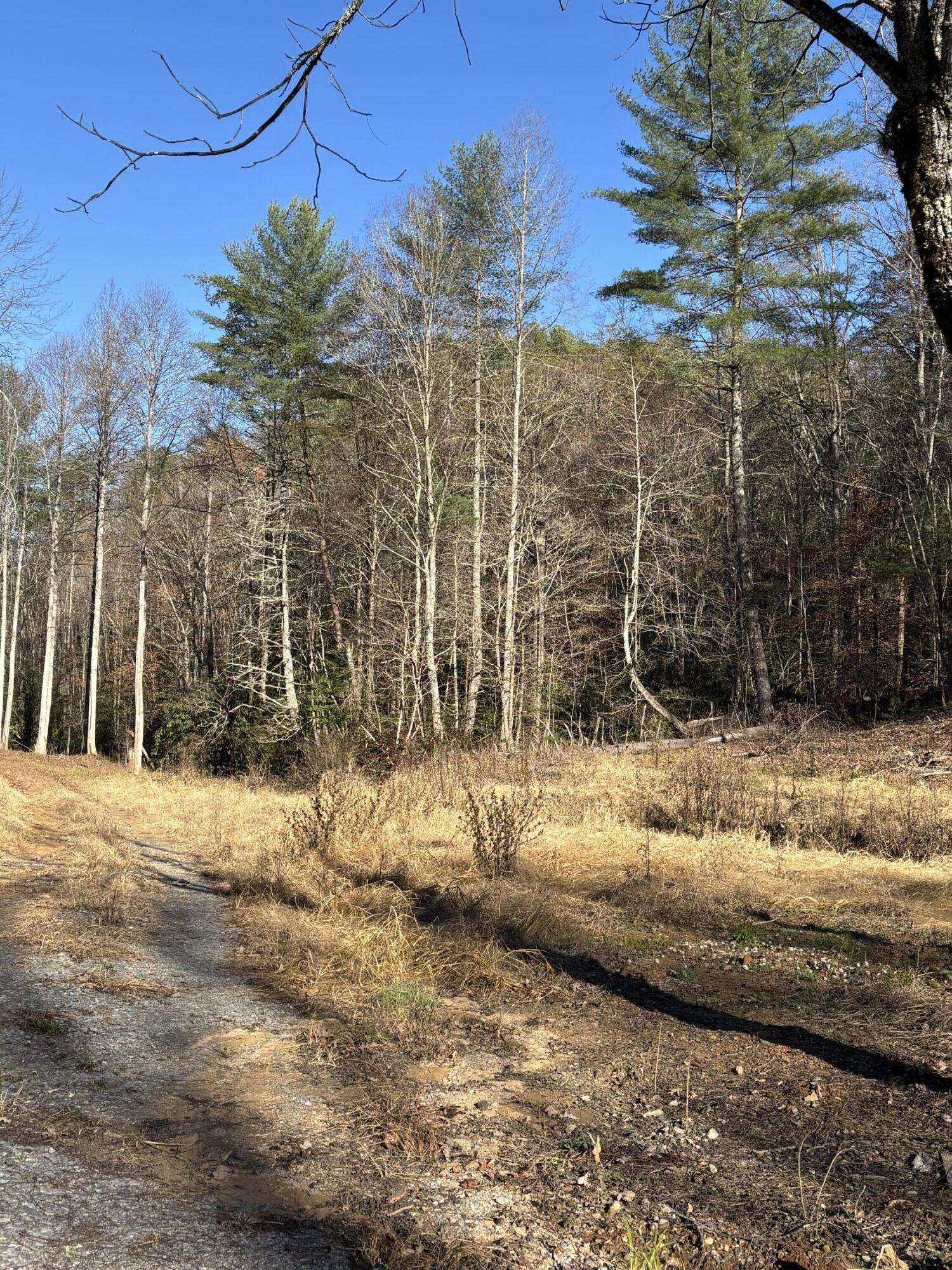 476 Appalachia Dam Road