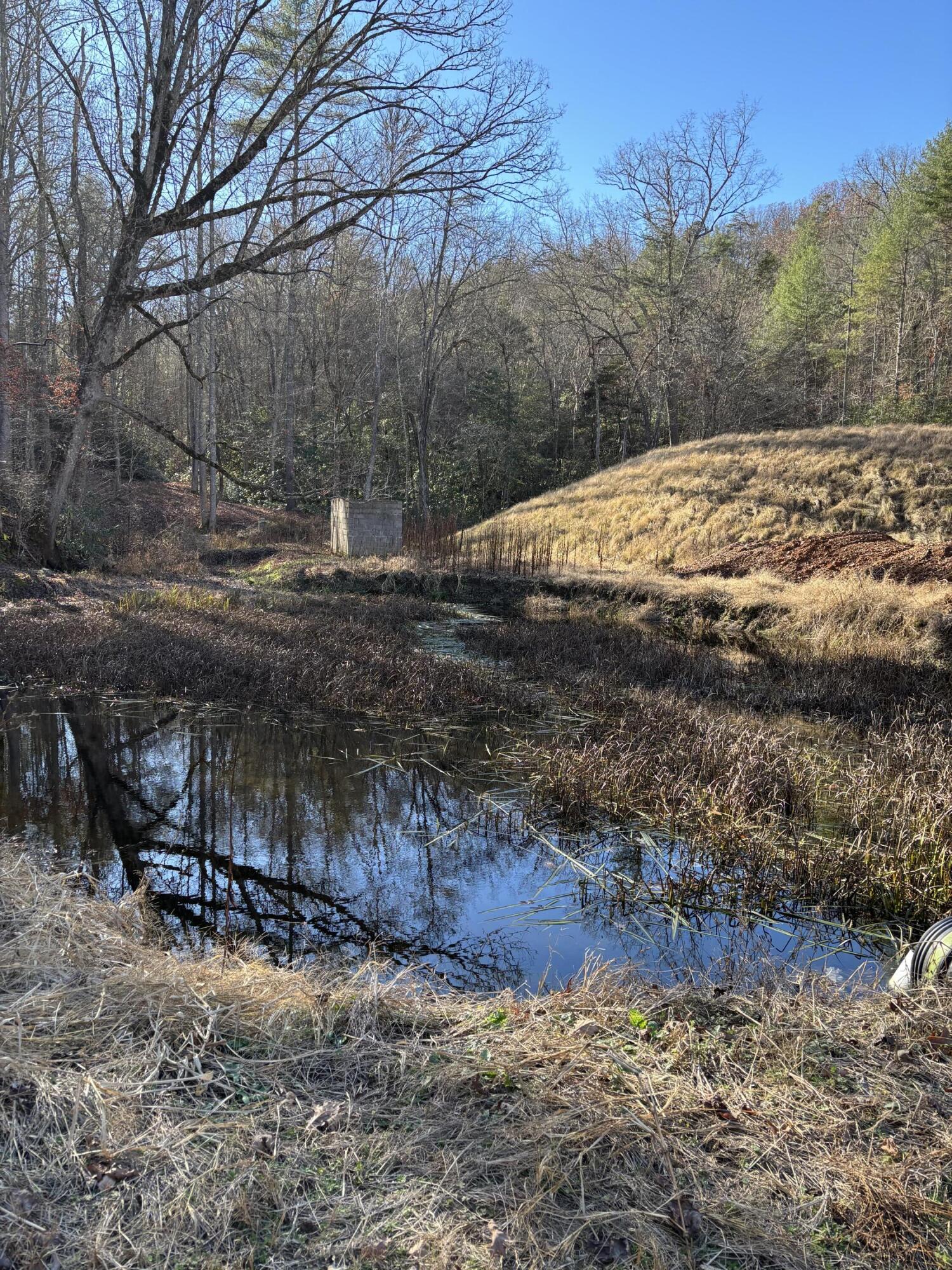 476 Appalachia Dam Road