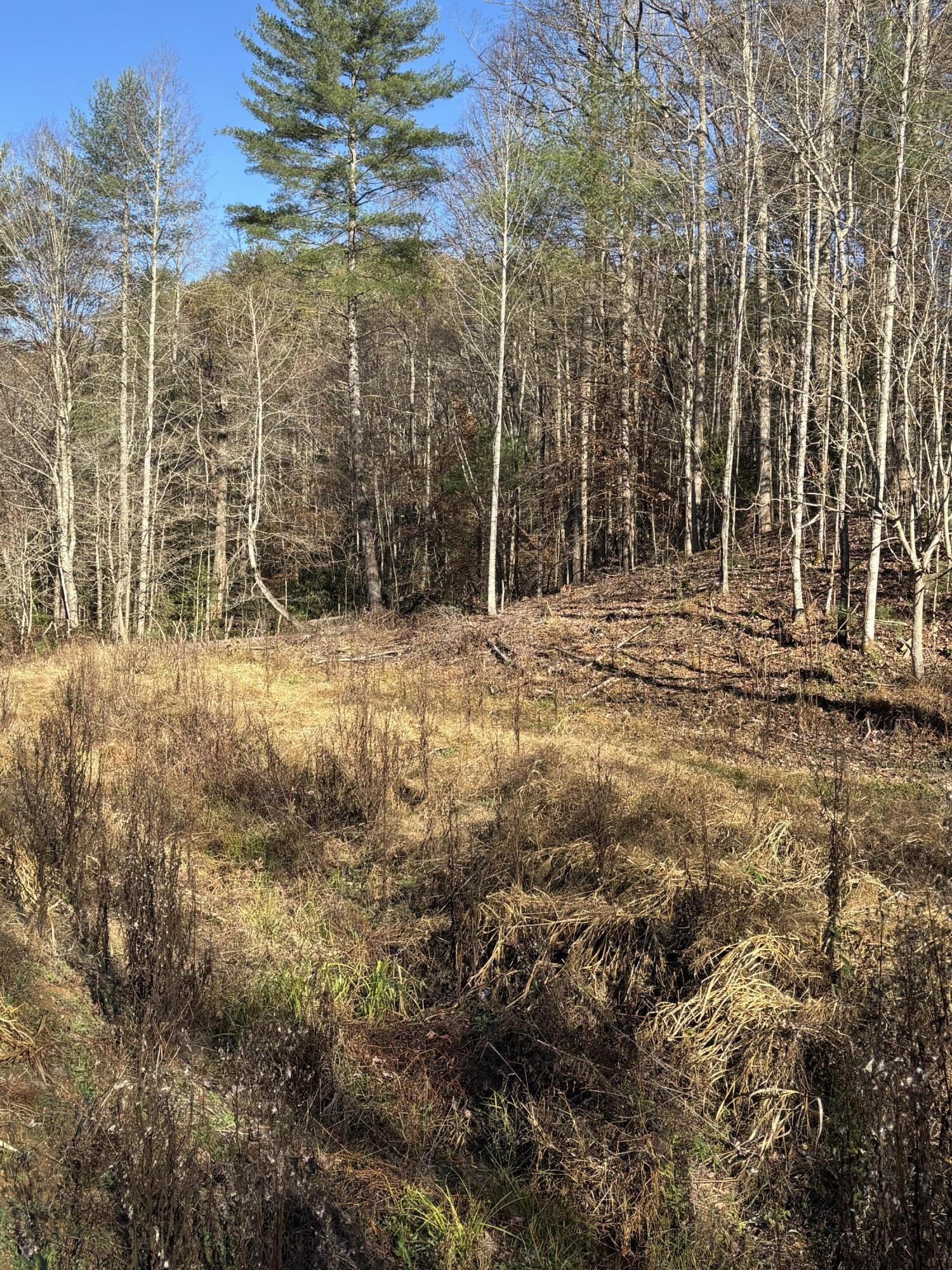 476 Appalachia Dam Road