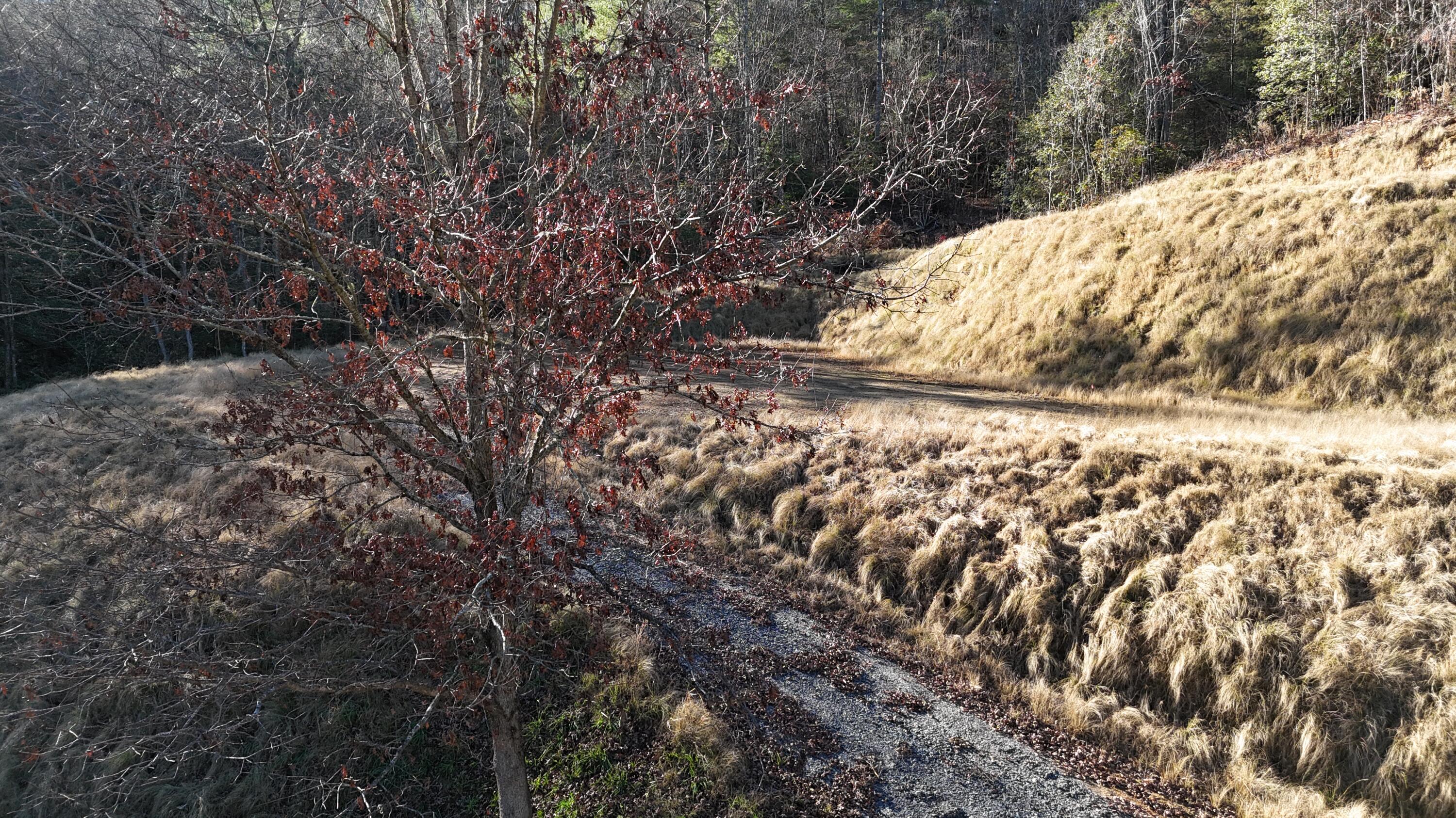 476 Appalachia Dam Road