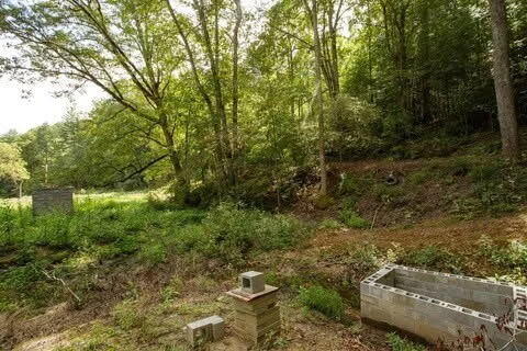 476 Appalachia Dam Road