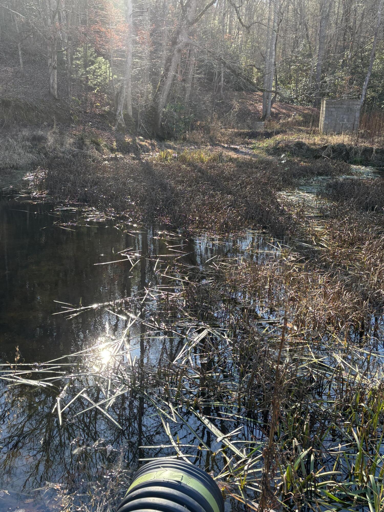 476 Appalachia Dam Road