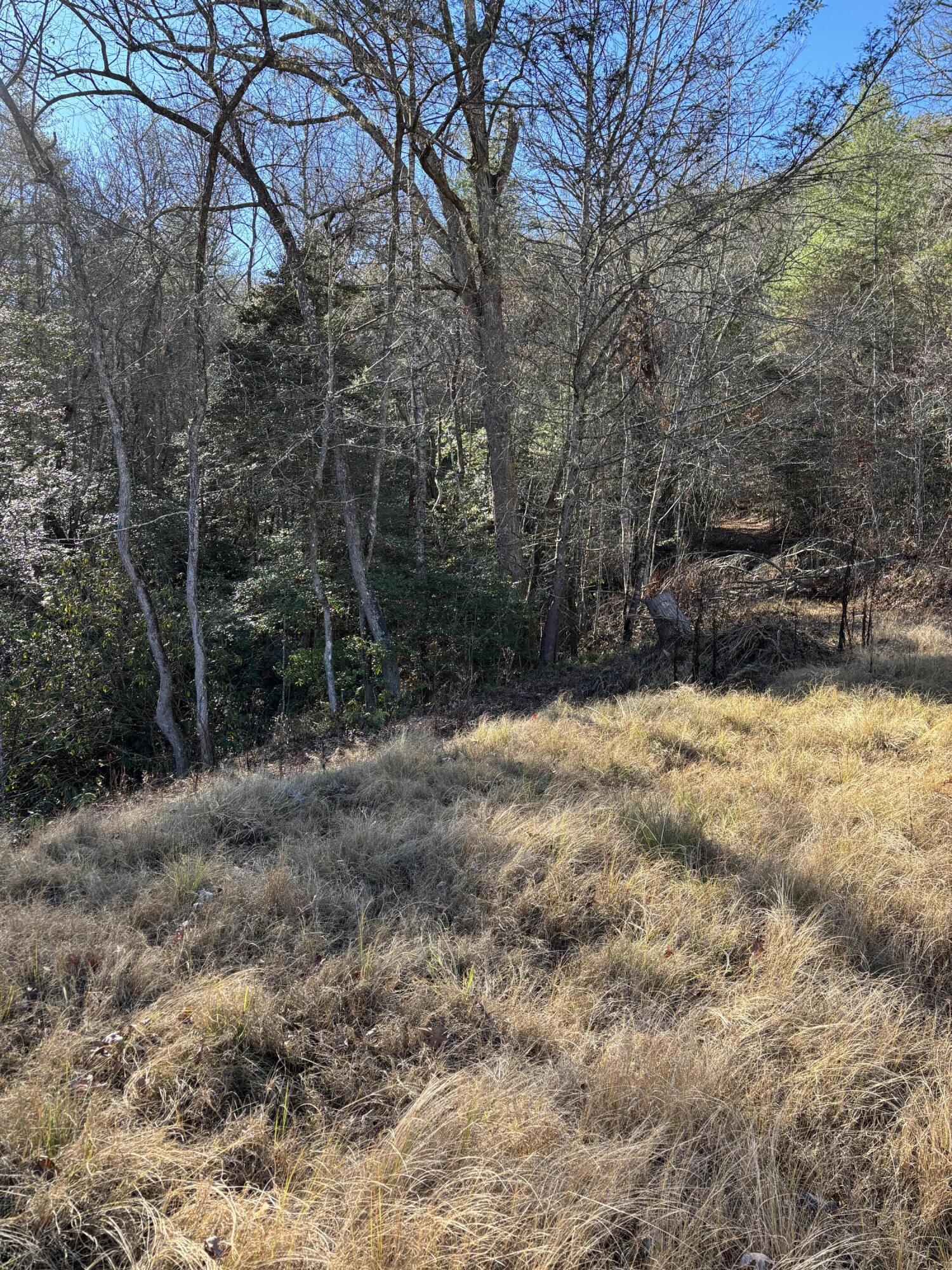 476 Appalachia Dam Road