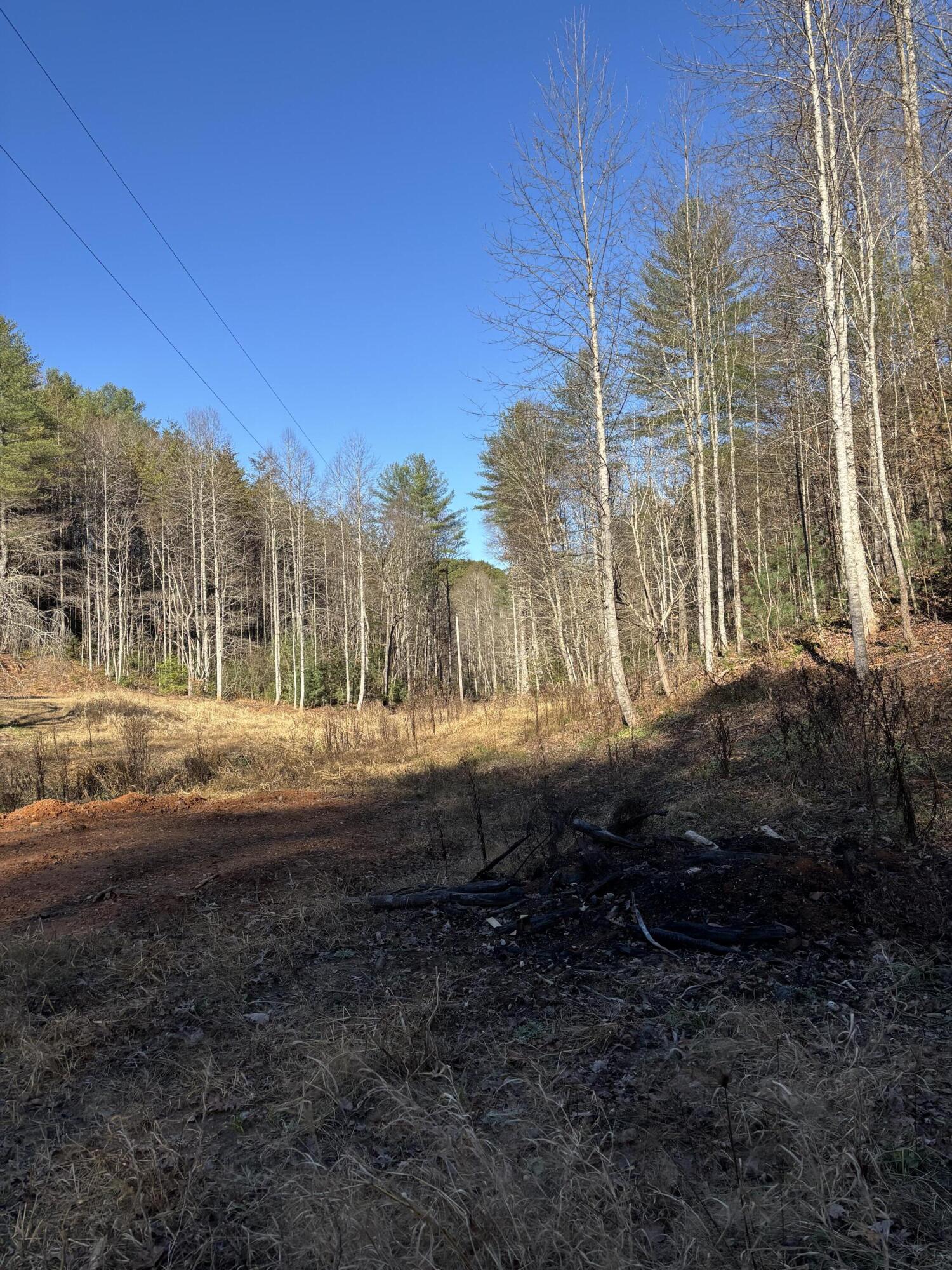 476 Appalachia Dam Road