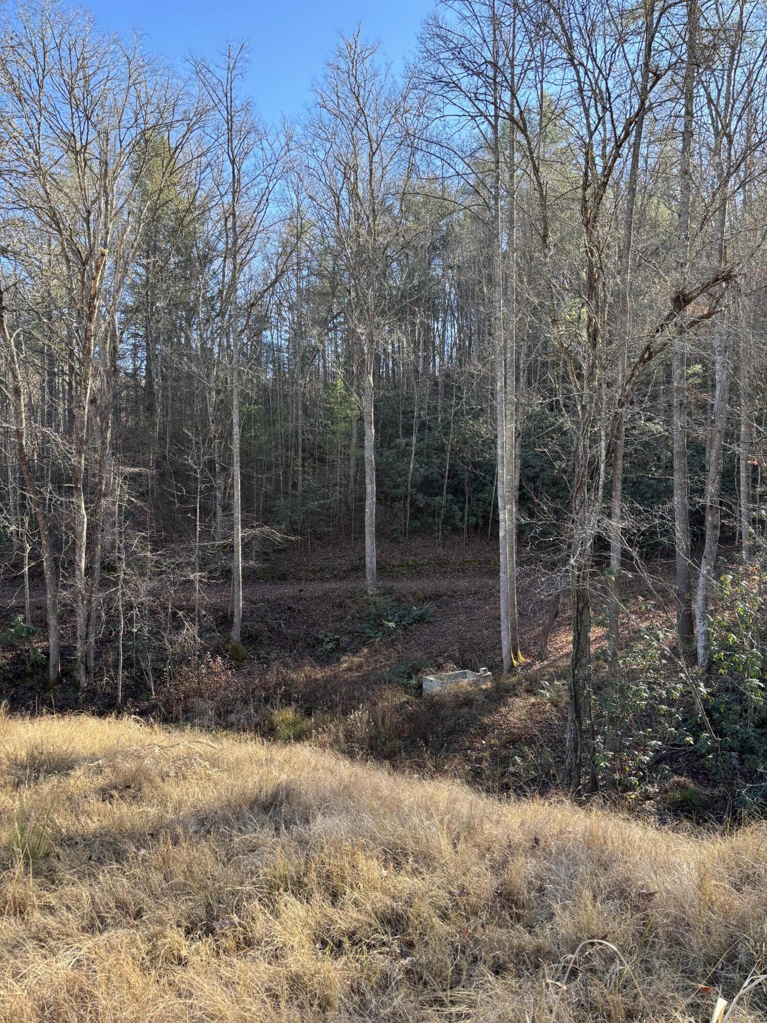 476 Appalachia Dam Road