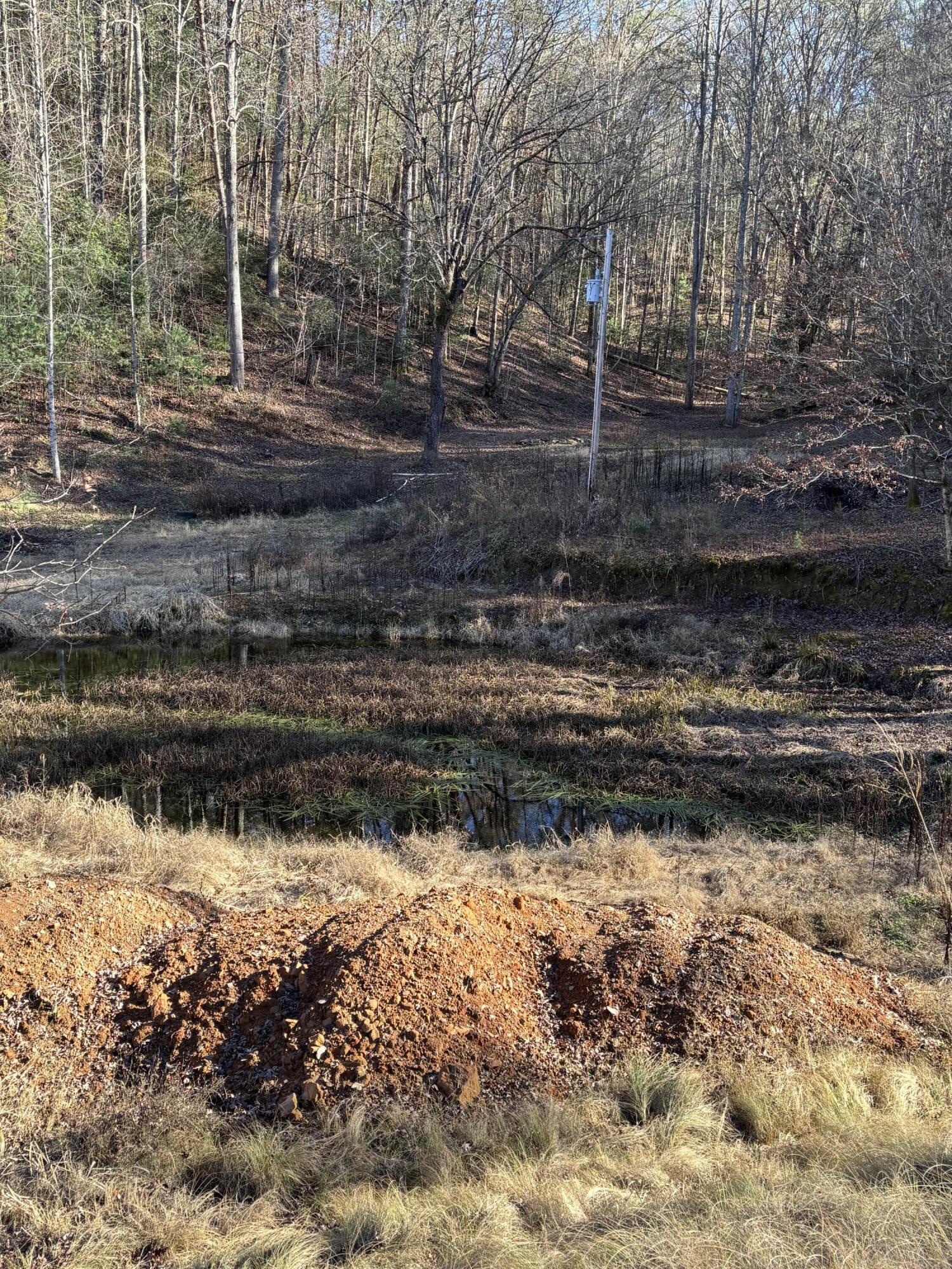 476 Appalachia Dam Road