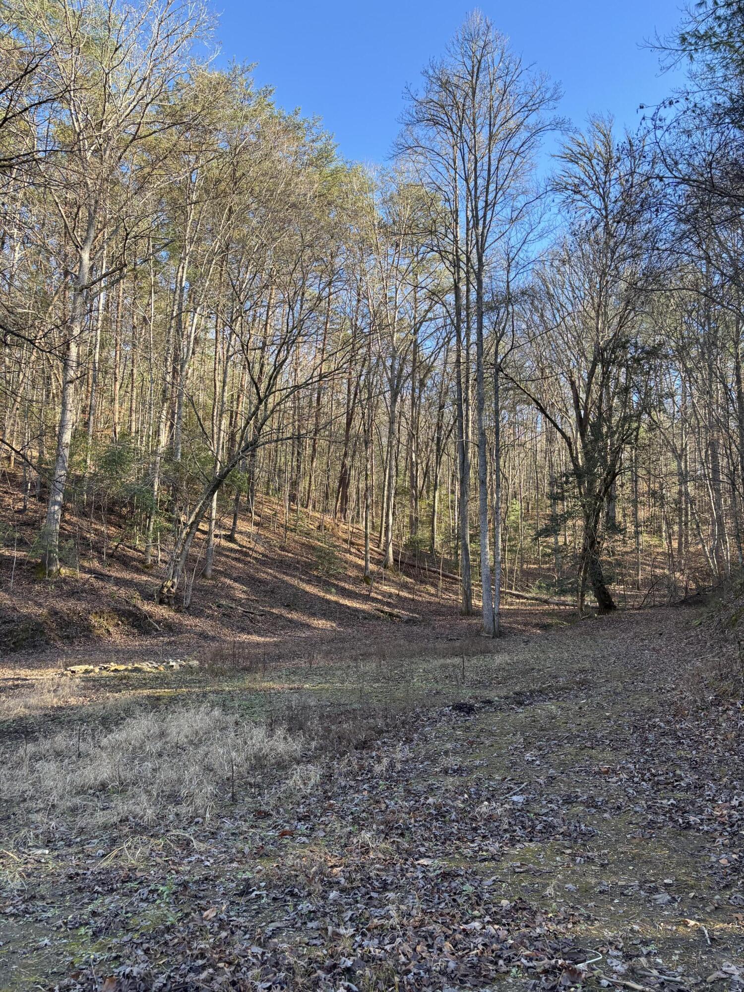 476 Appalachia Dam Road